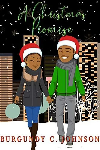New Release Spotlight - A Christmas Promise (A Holiday Snack), by Burgundy C. Johnson