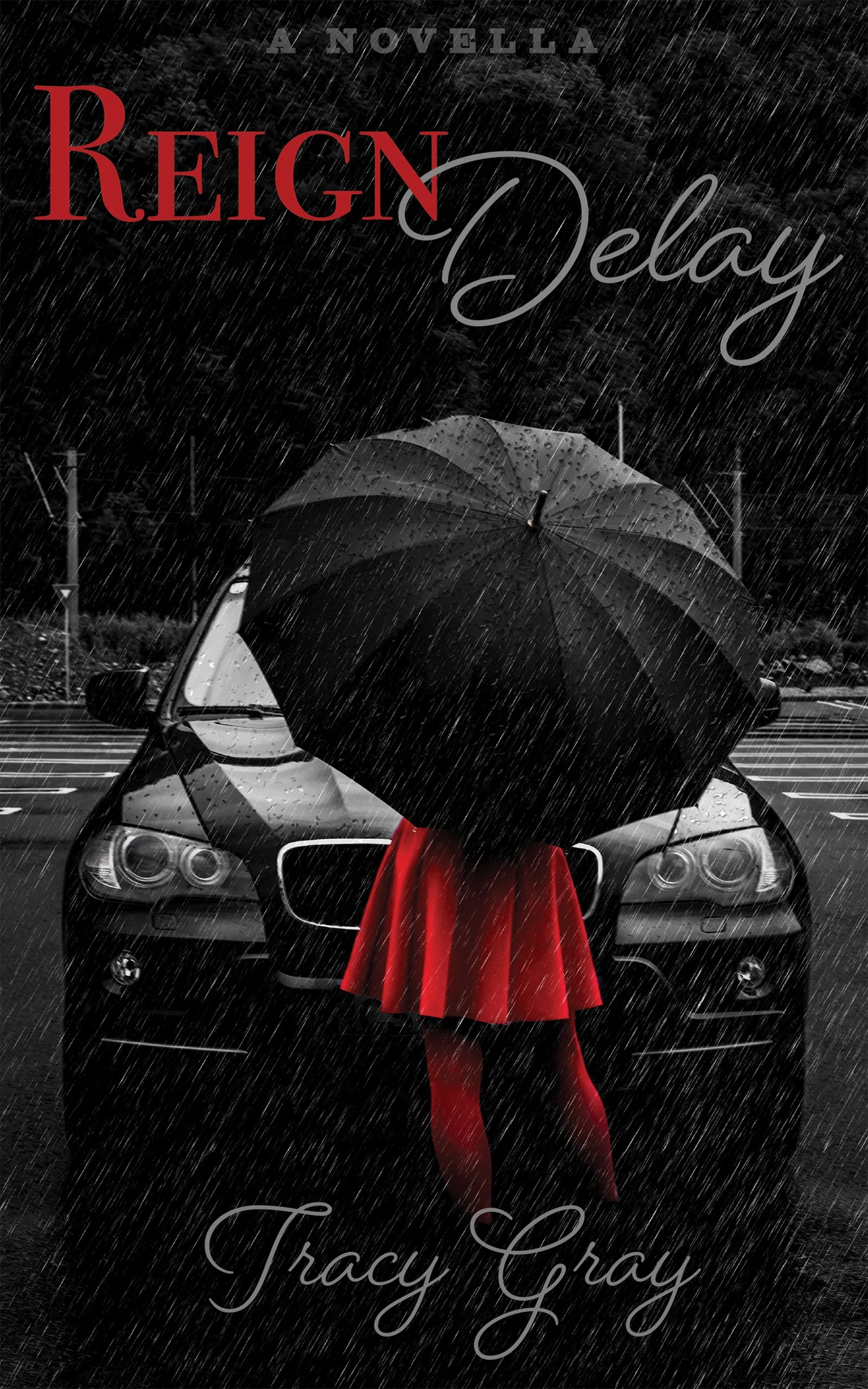 New Release Spotlight - Reign Delay, by Tracy Gray