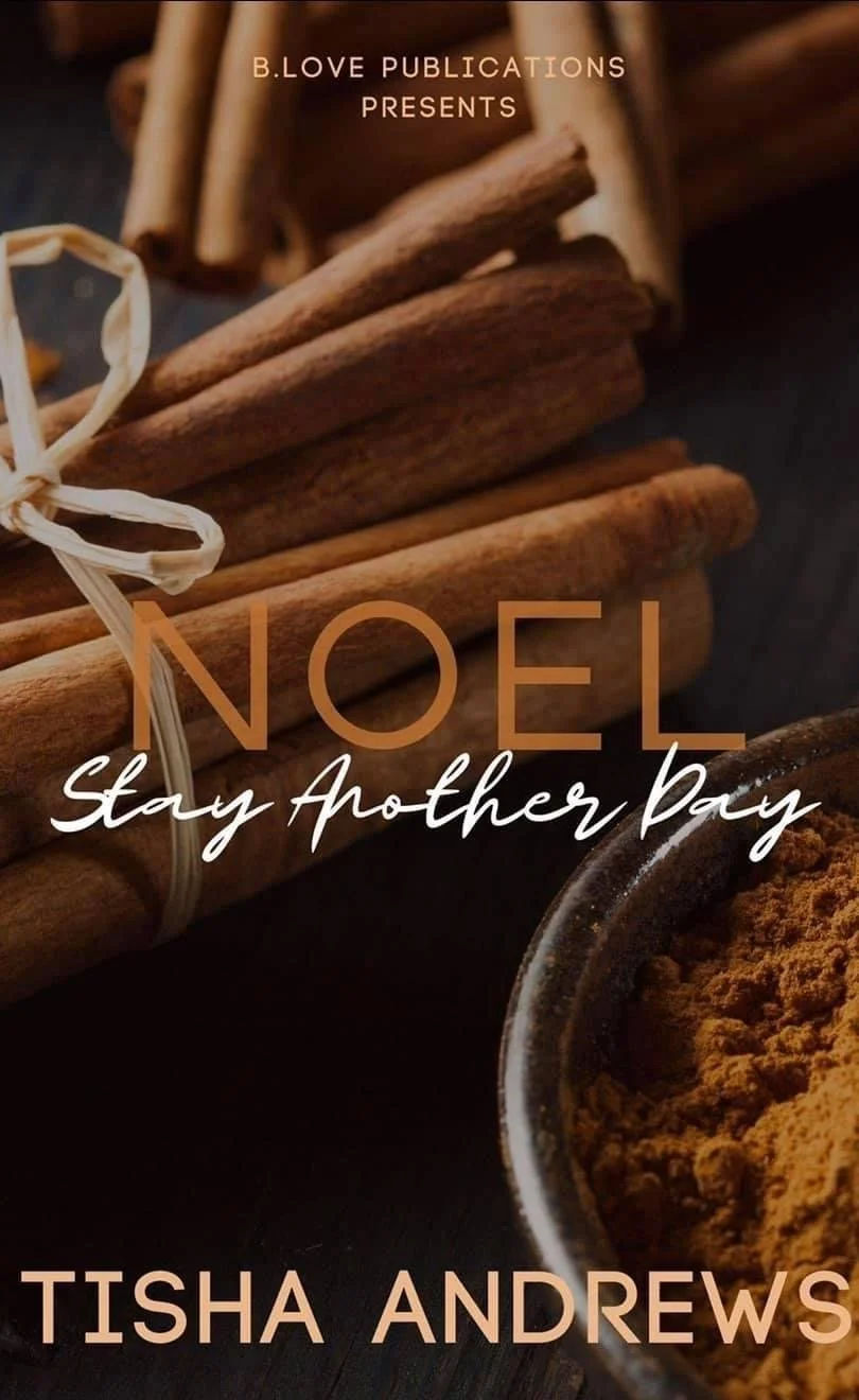 New Release Spotlight - Noel: Stay Another Day, by Tisha Andrews