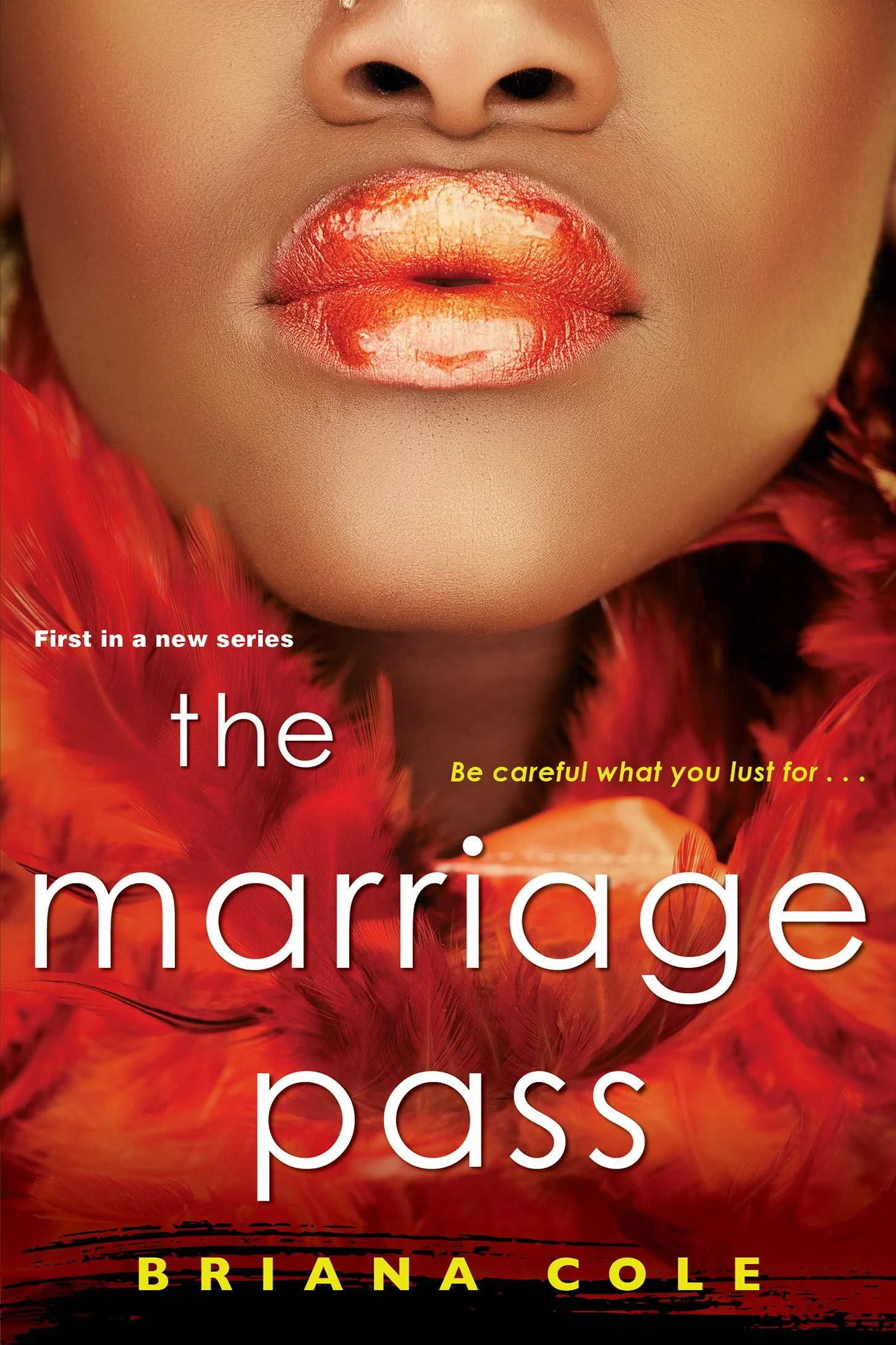 New Release Spotlight - The Marriage Pass, by Briana Cole