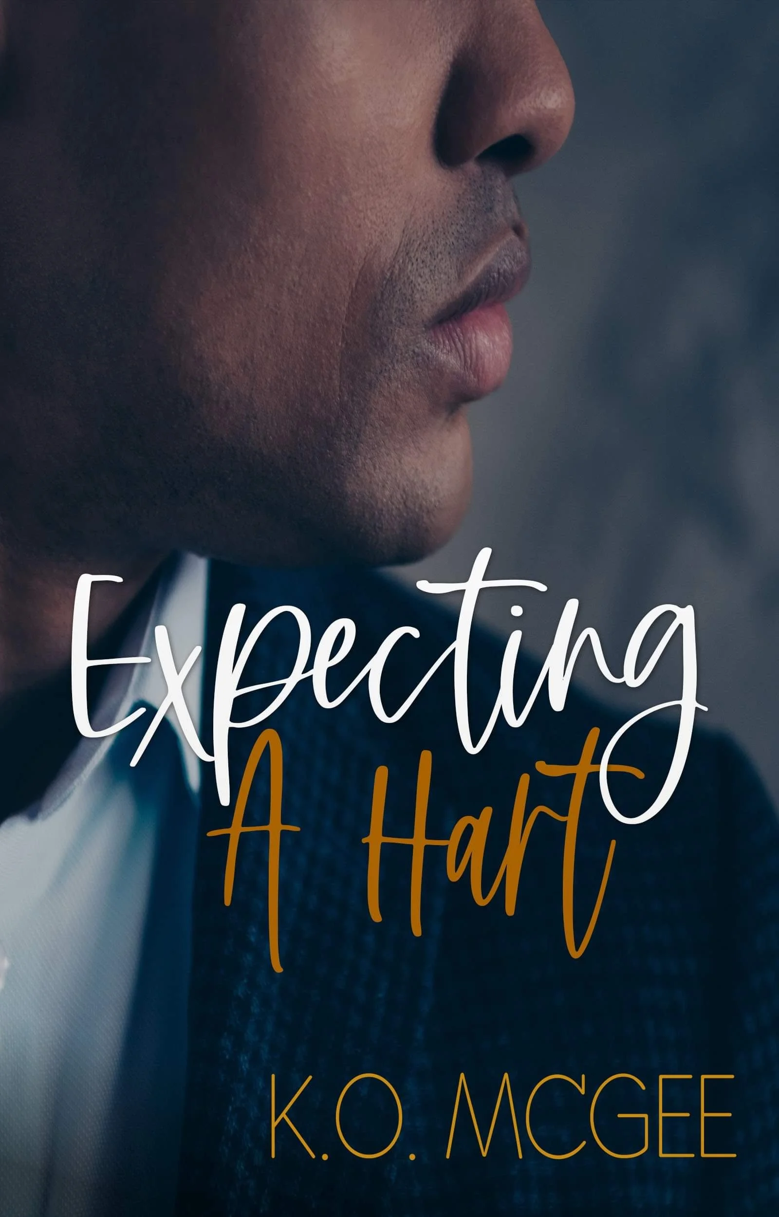 New Release Spotlight - Expecting A Hart, by K.O. McGee