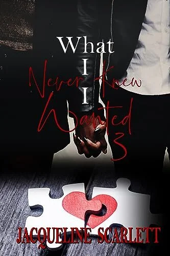 New Release Spotlight - What I Never Knew I Wanted 3, by Jacqueline Scarlett