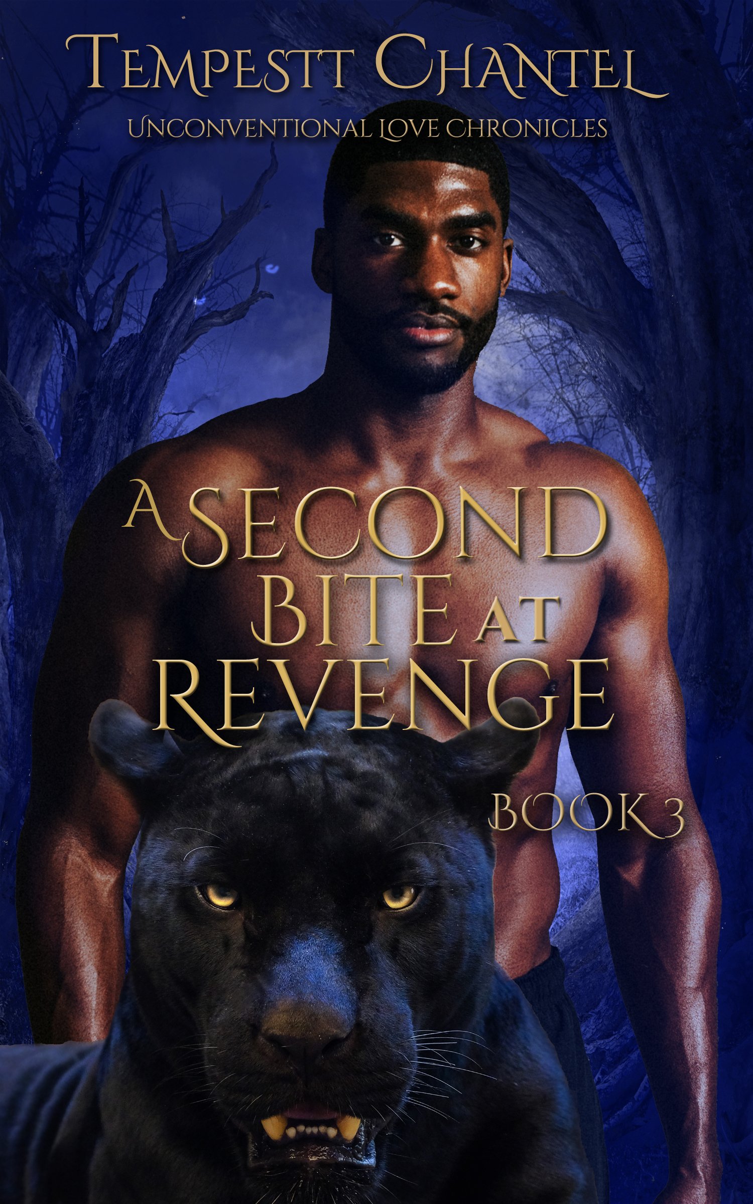 New Release Spotlight - A Second Bite at Revenge (Unconventional Love Chronicles Book 3), by Tempestt Chantel