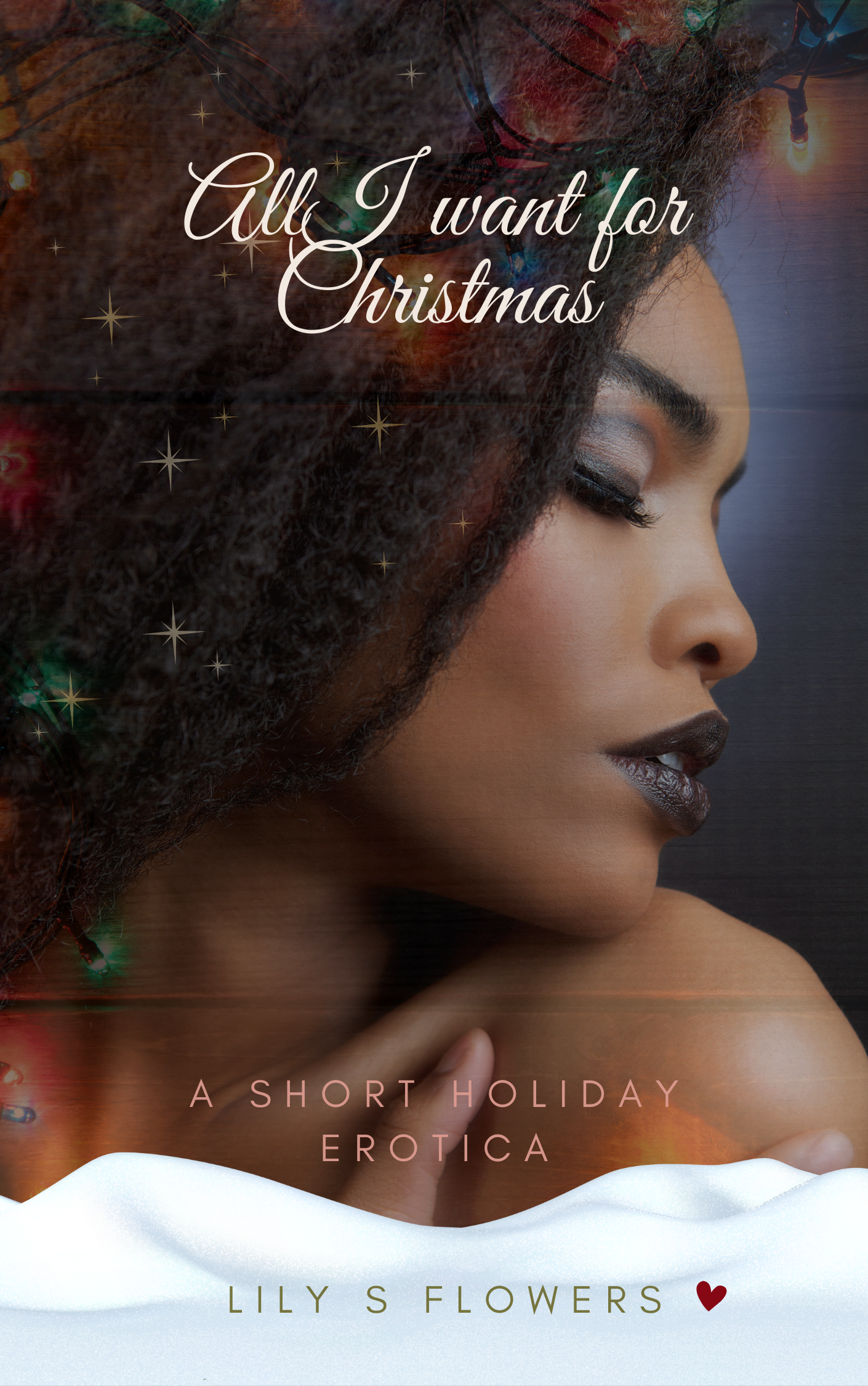 New Release Spotlight - All I Want for Christmas : A Holiday Romance, by Lily S. Flowers