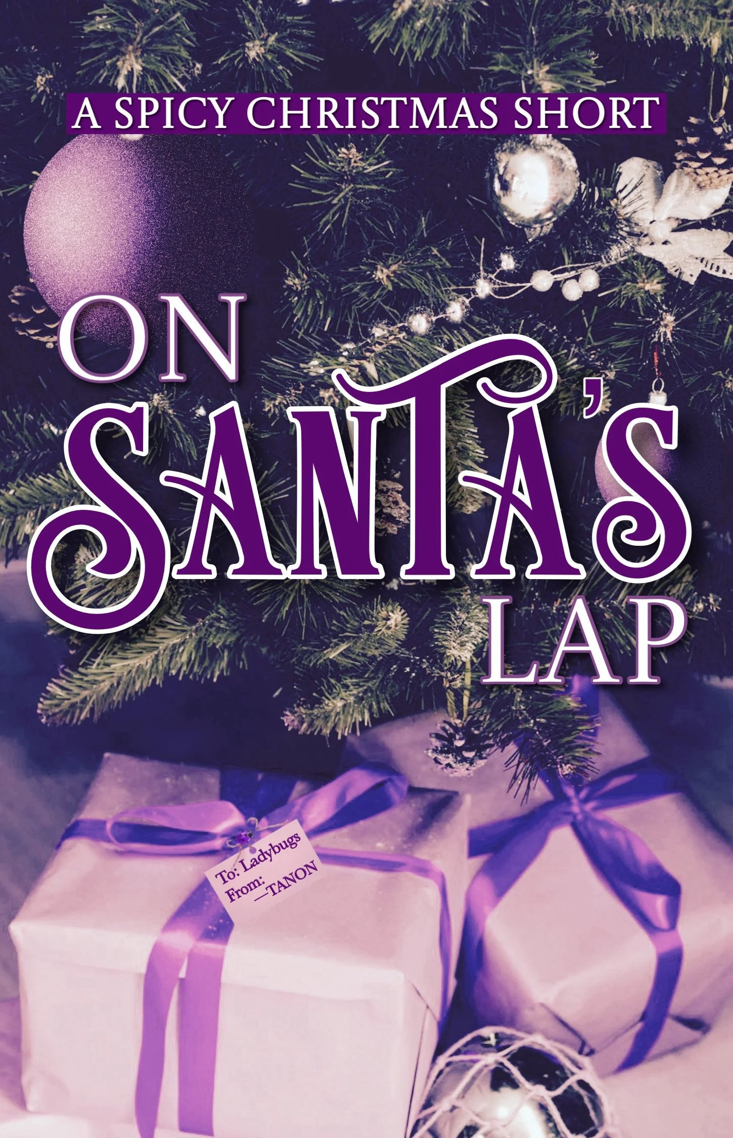 New Release Spotlight - On Santa’s Lap, by Tanon Tales