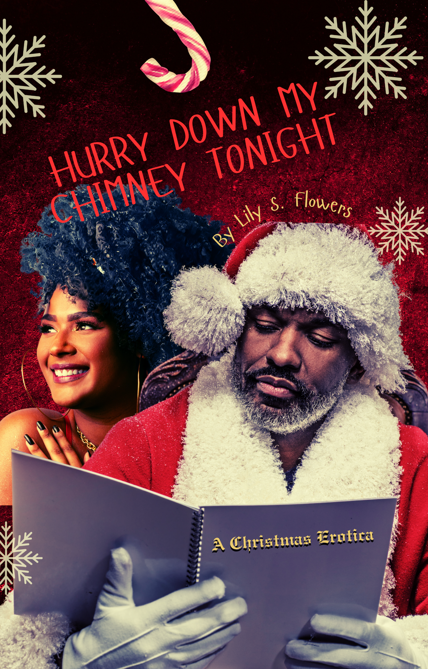 New Release Spotlight - Hurry Down My Chimney Tonight: A Christmas Erotica, by Lily S. Flowers