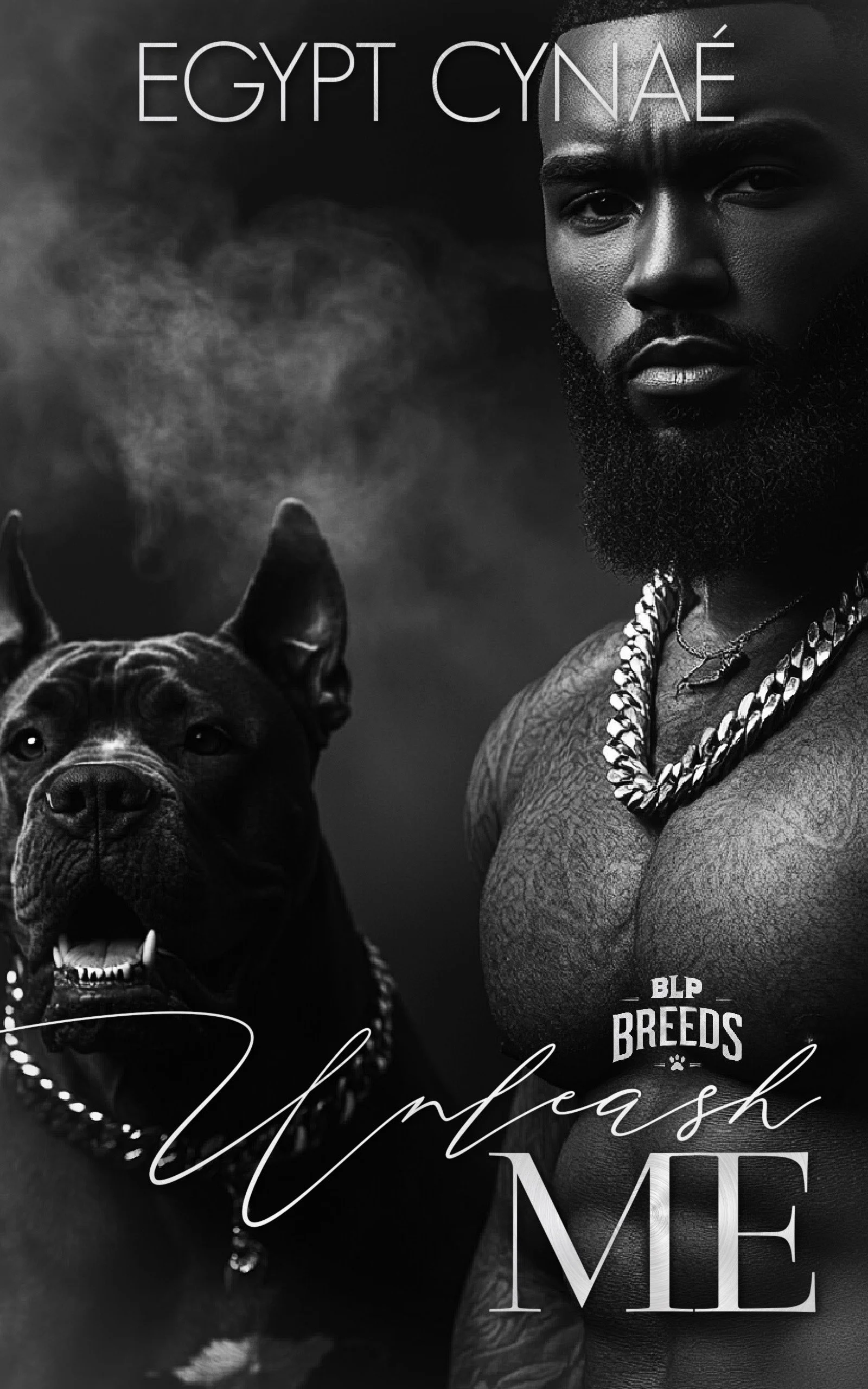 New Release Spotlight - Unleash Me, by Egypt Cynaé