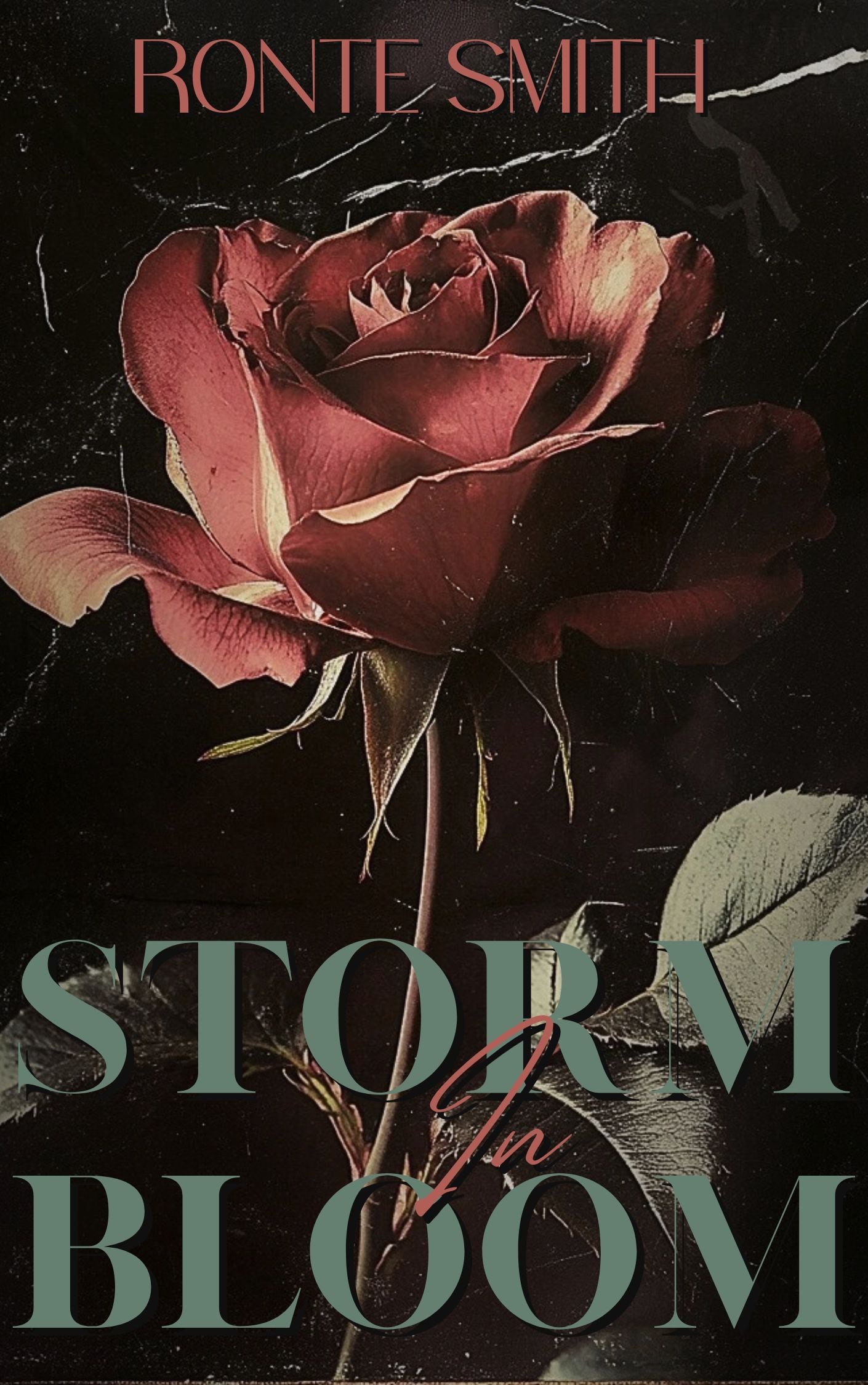 New Release Spotlight - Storm In Bloom, by Ronte Smith