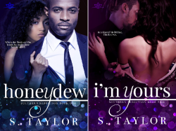 Book Spotlight - Southern Seduction Series, by S. Taylor
