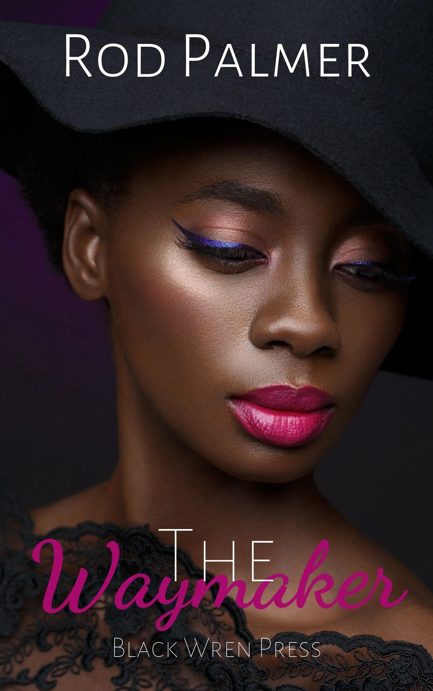 New Release Spotlight - The Waymaker, by Rod Palmer