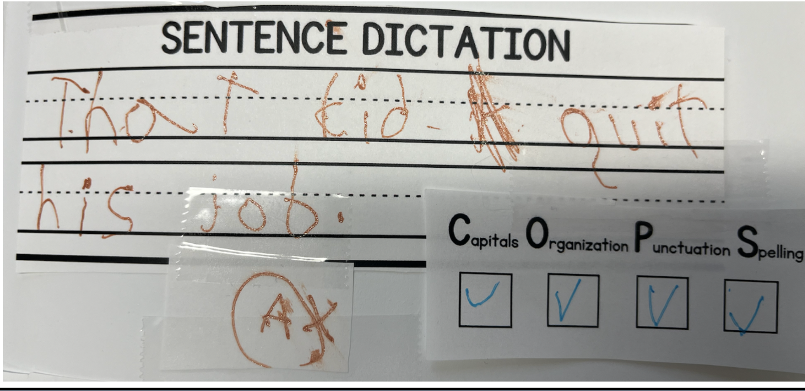 A handwriting worksheet titled 'Sentence Dictation' with a sentence written in orange marker: 'That did it in our hi is good.' four boxes below labeled 'Caps,' 'Org,' 'Punc,' and 'Spelling,' each checked with blue ink.