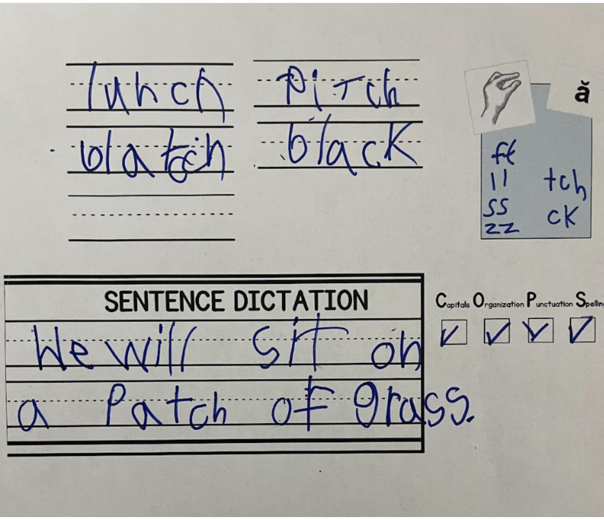 A handwriting practice sheet with words and a sentence about a patch of grass, alongside a small illustration of a hand and a letter 'ä'.