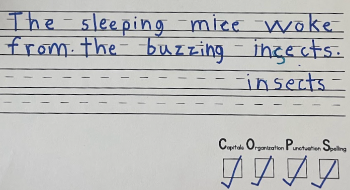 A handwritten note on lined paper stating, "The sleeping mice woke from the buzzing insects." A small section of a grammar checklist at the bottom includes categories for "Capitalization," "Organization," "Punctuation," and "Spelling," each with a checkmark.