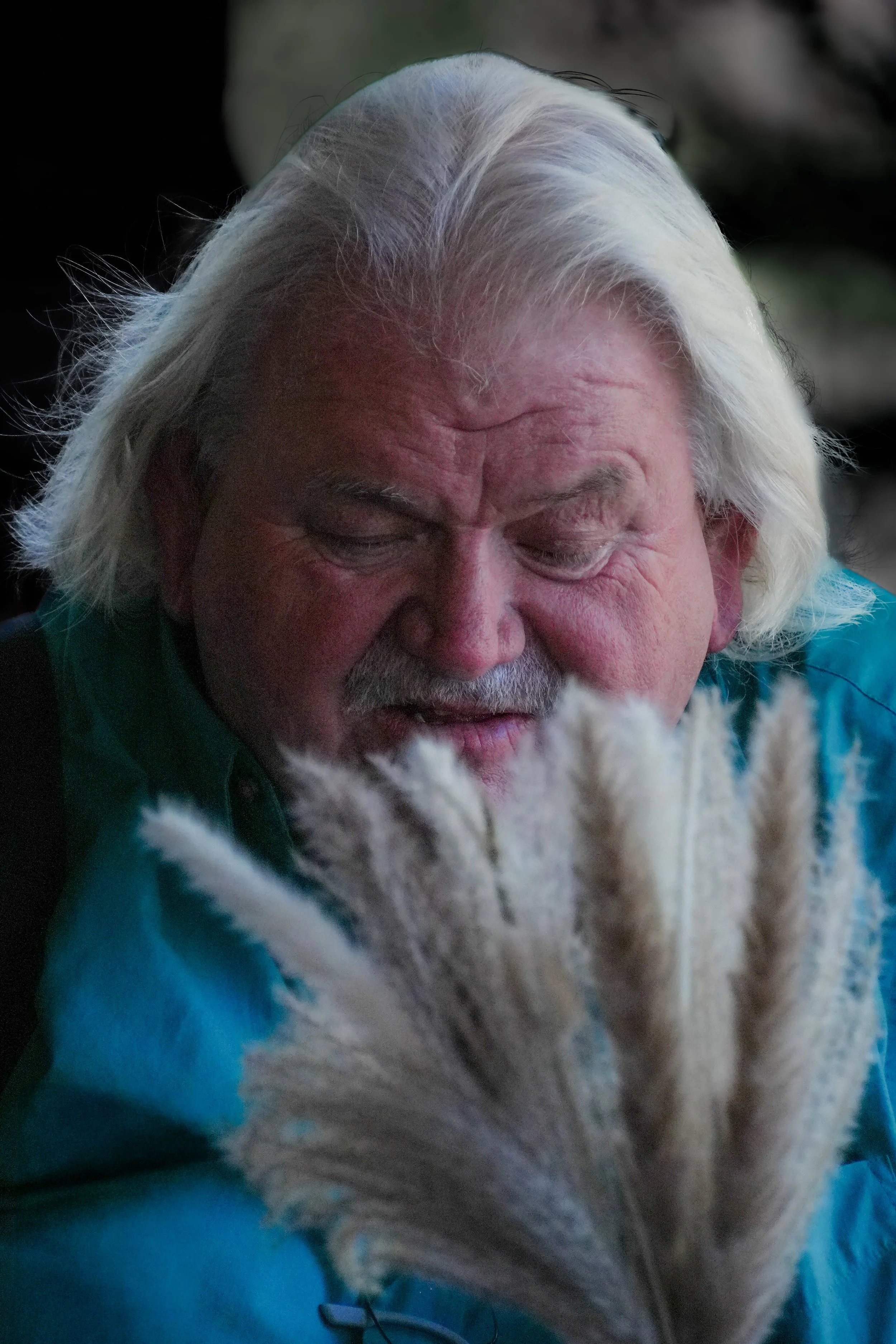 Close-up of an elderly man with white hair, wearing a teal shirt, looking down at a fluffy white dog or cat, with a dark blurred background.