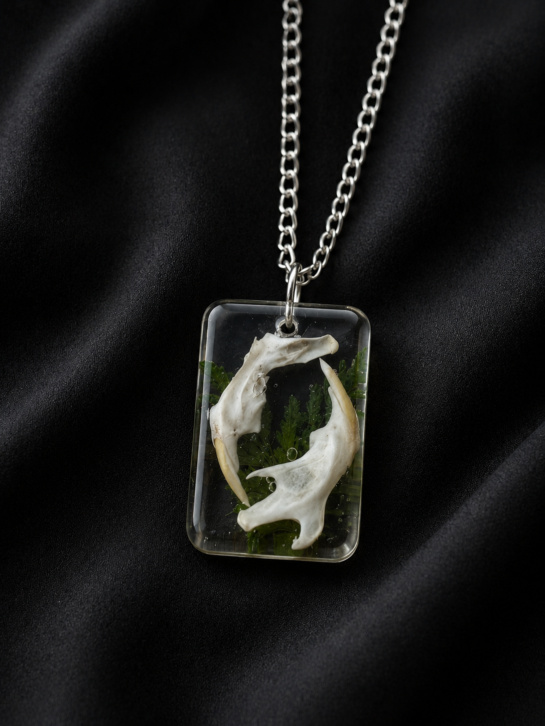 Rodent Jaw Pendant