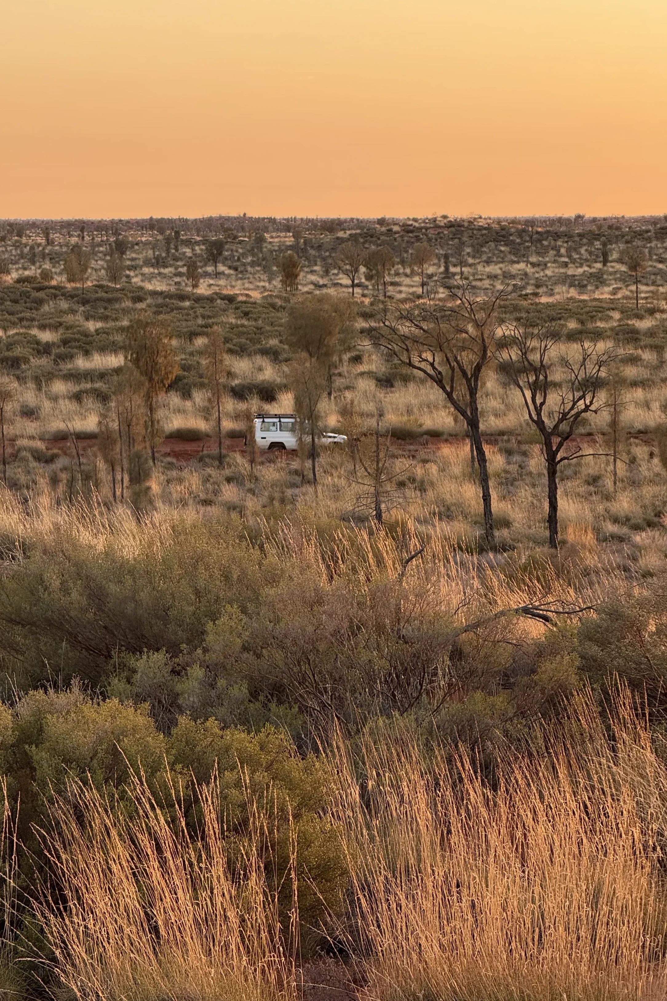 A desert landscape with sparse vegetation, dry grasses, scattered trees, and a white off-road vehicle partially hidden among the bushes, under a pink and orange sky during sunset.