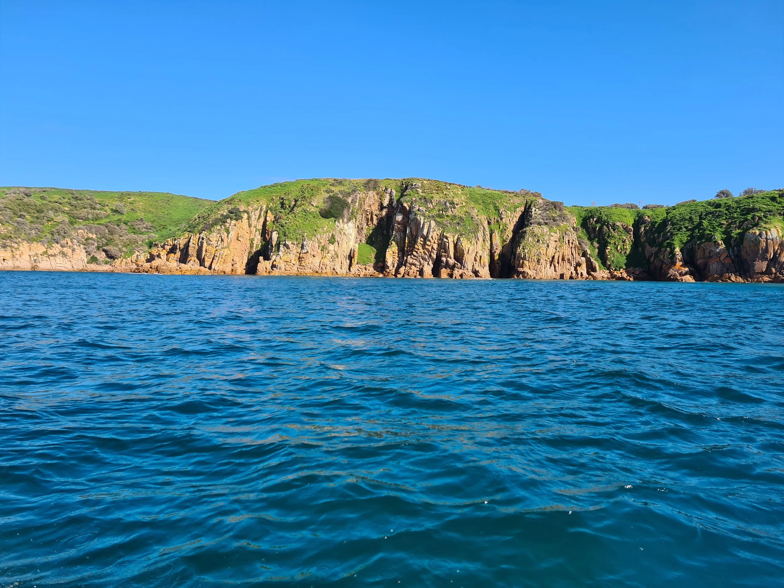We do our best to ensure you see whales and dolphins during your Phillip Island Tour. If not the Phillip Island coastline is spectacular.