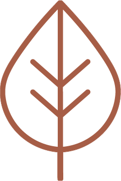 Simple brown outline of a leaf with central stem and smaller side veins