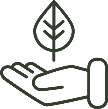 A hand holding a leaf, symbolizing environmental care or sustainability.