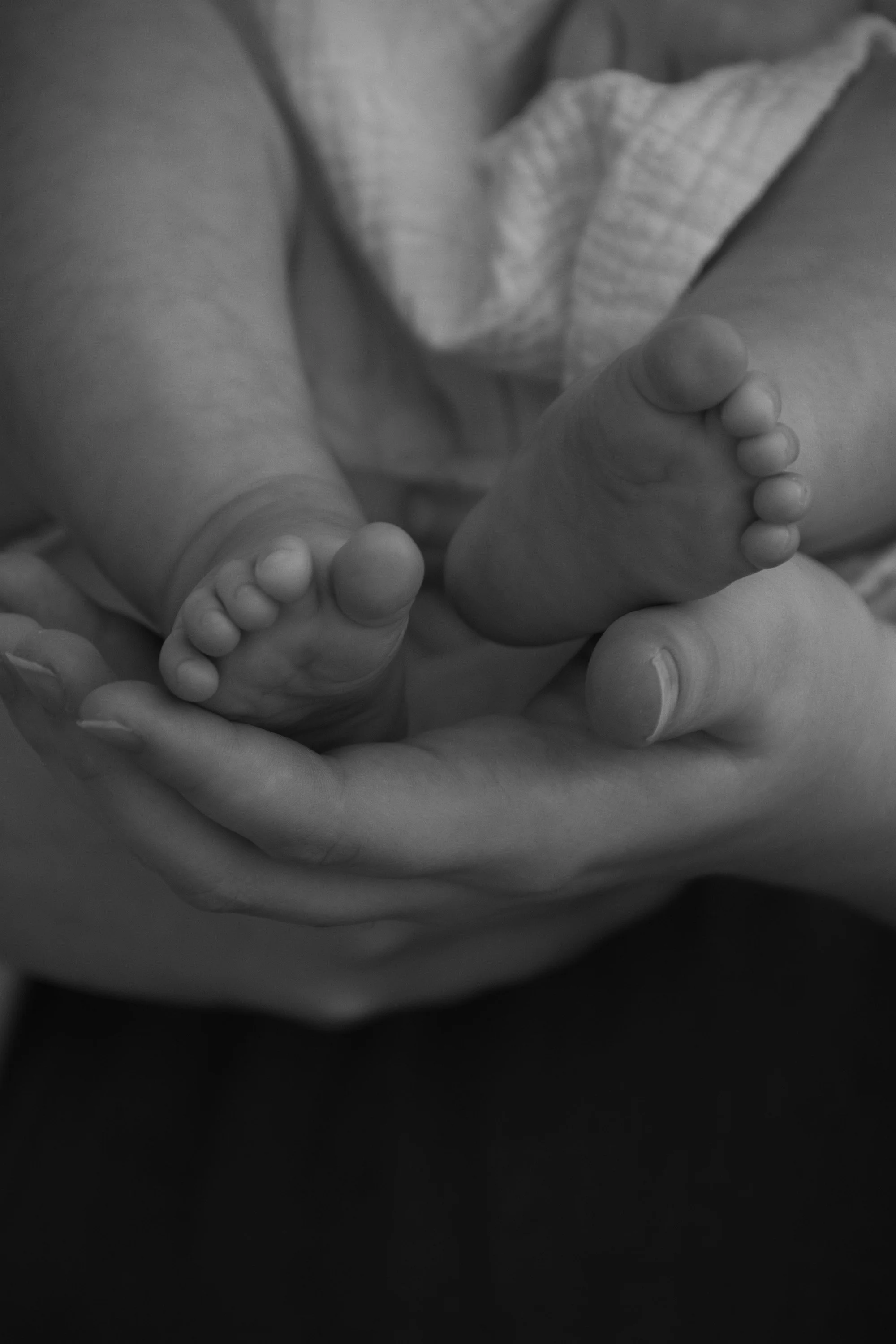 Black and white close-up photograph of a newborn baby's feet resting in a parent's hands.