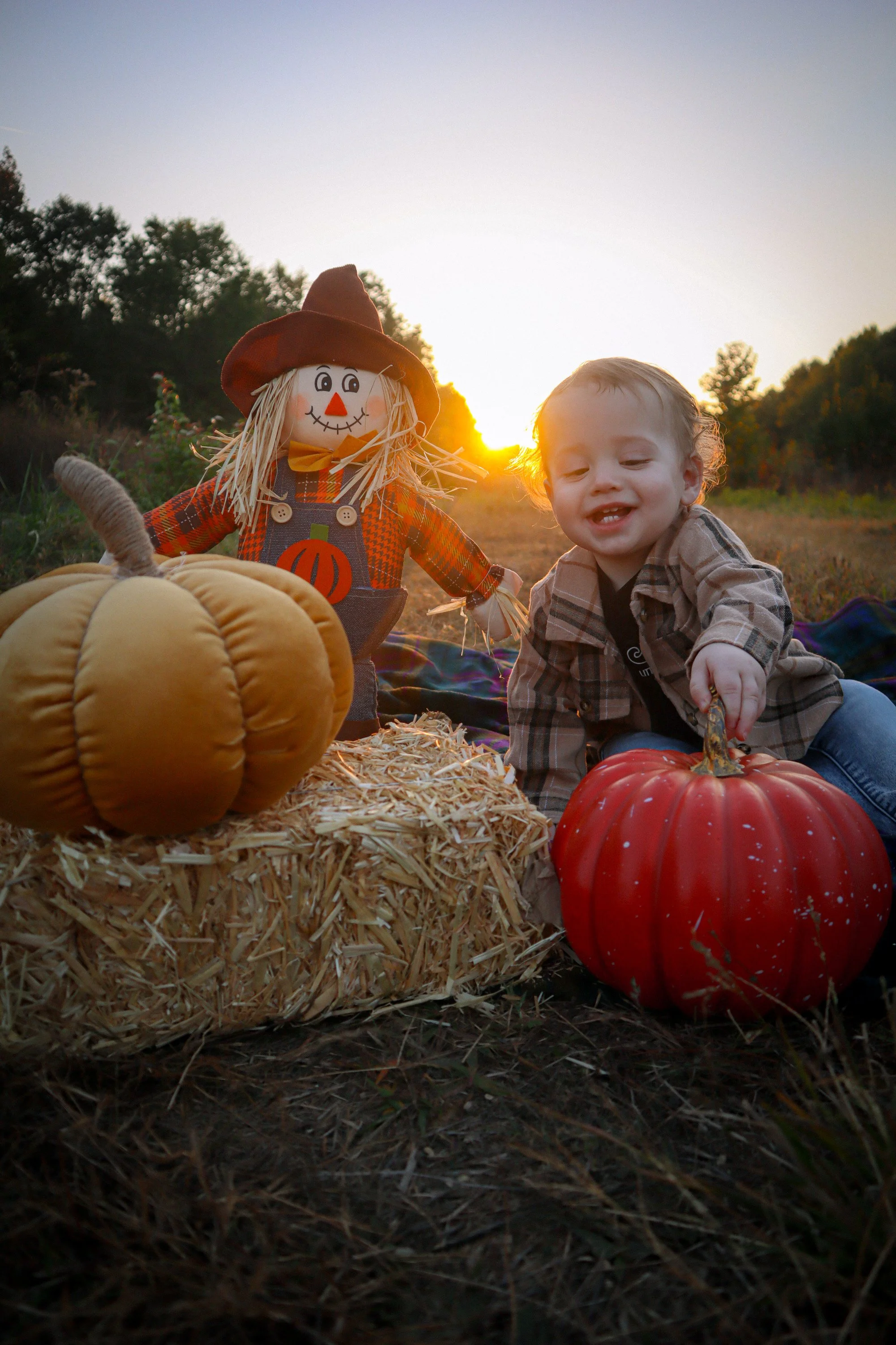 Toddler sitting beside pumpkins and fall decorations during an autumn family photography session.