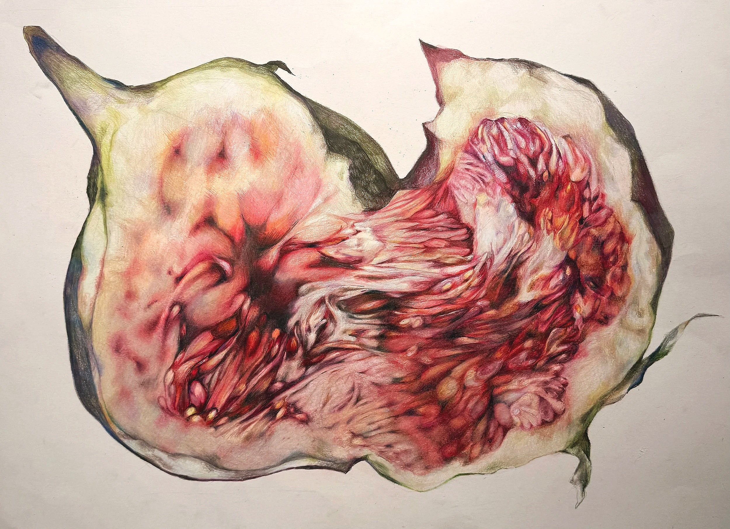 Ripe for Your Picking. 2026. Colored Pencils on Bristol. 