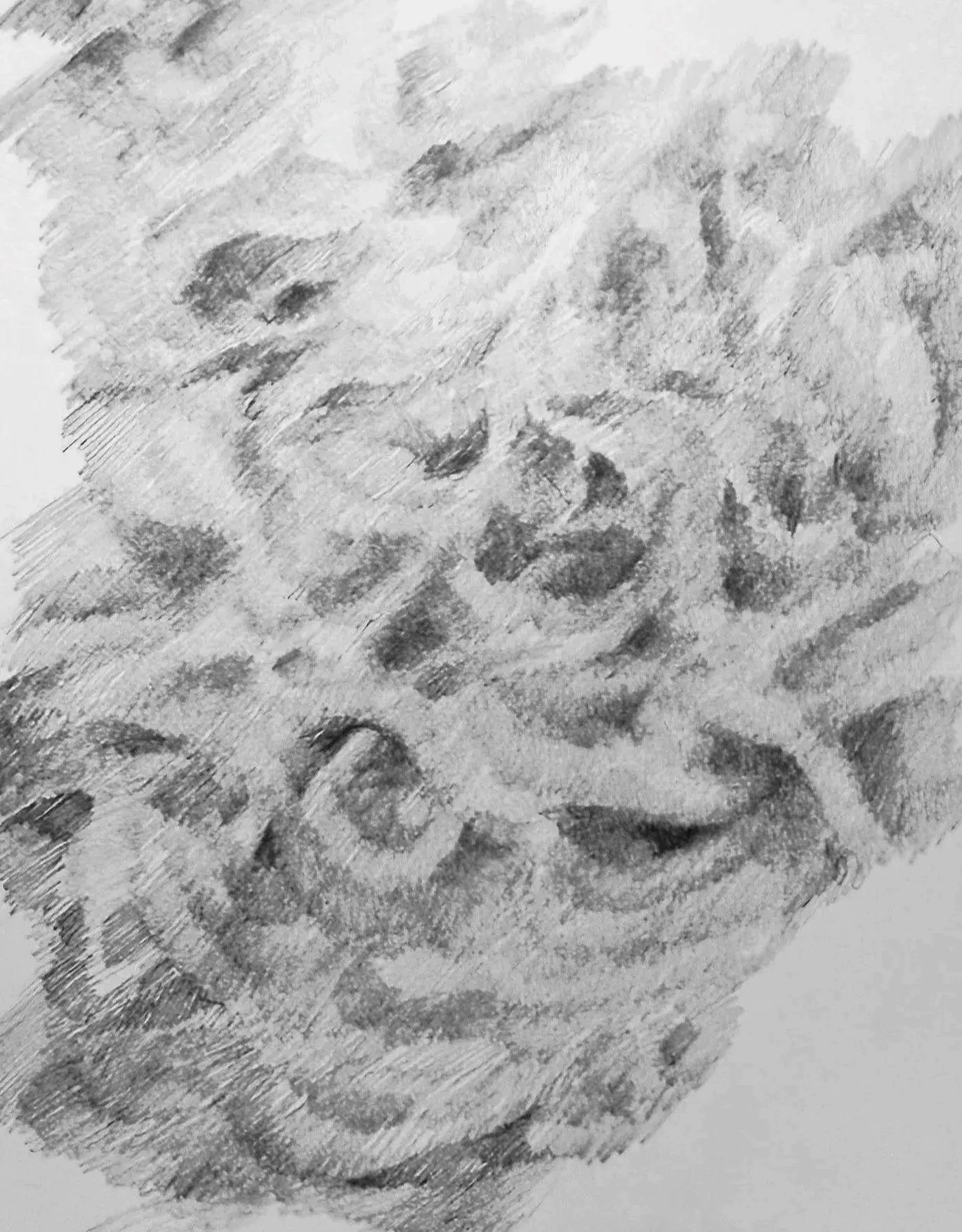 989445F4-B730-4234-9D6D-0B674F92517D.jpg