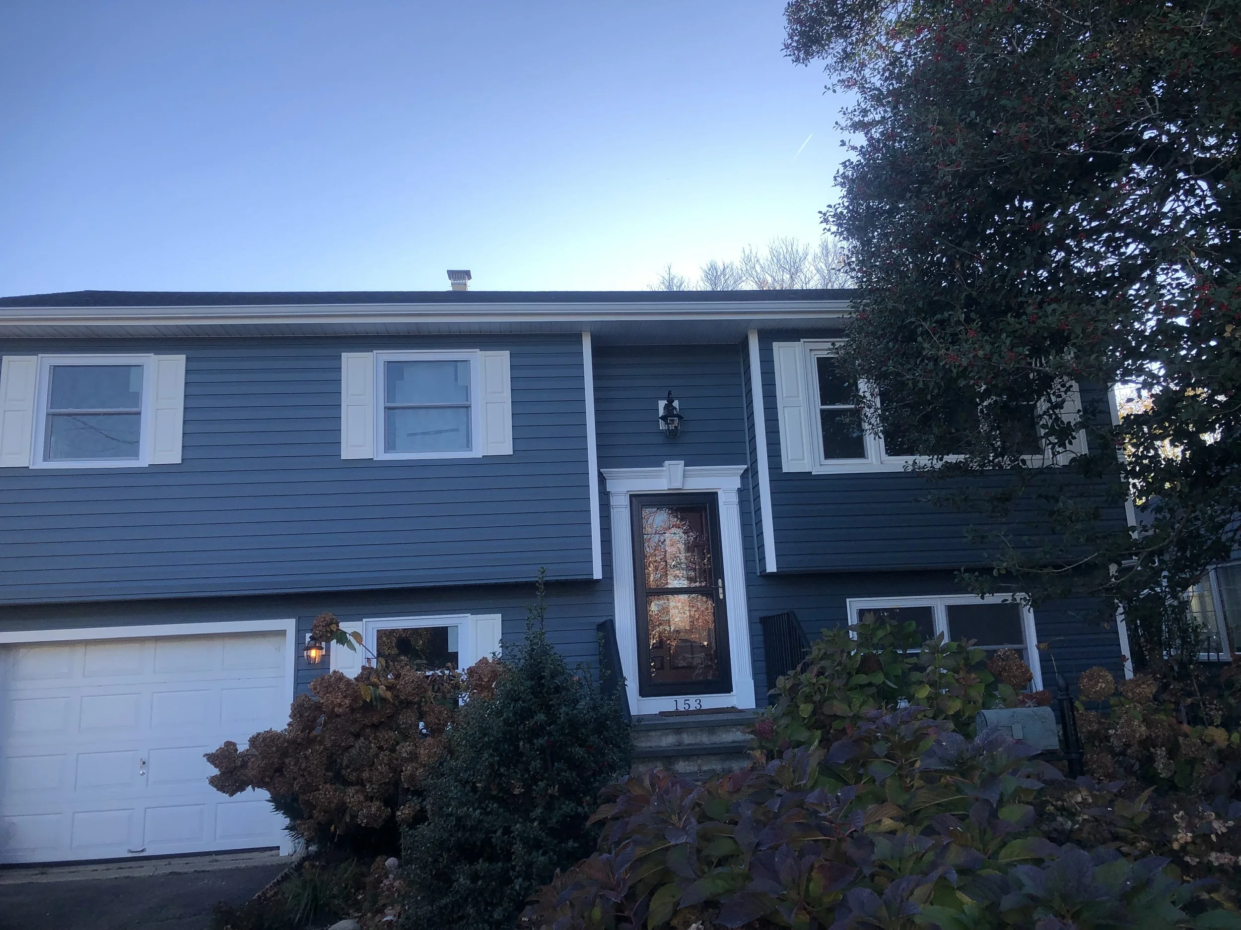 A two-story blue house with white trim and a white garage door, surrounded by trees and bushes, with a clear sky above.