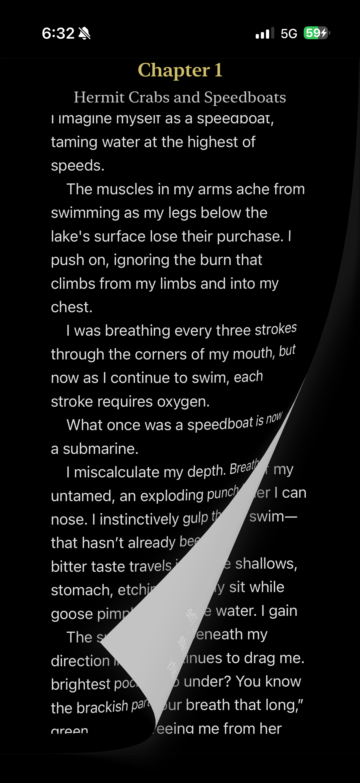 Screenshot of a book page from the app.