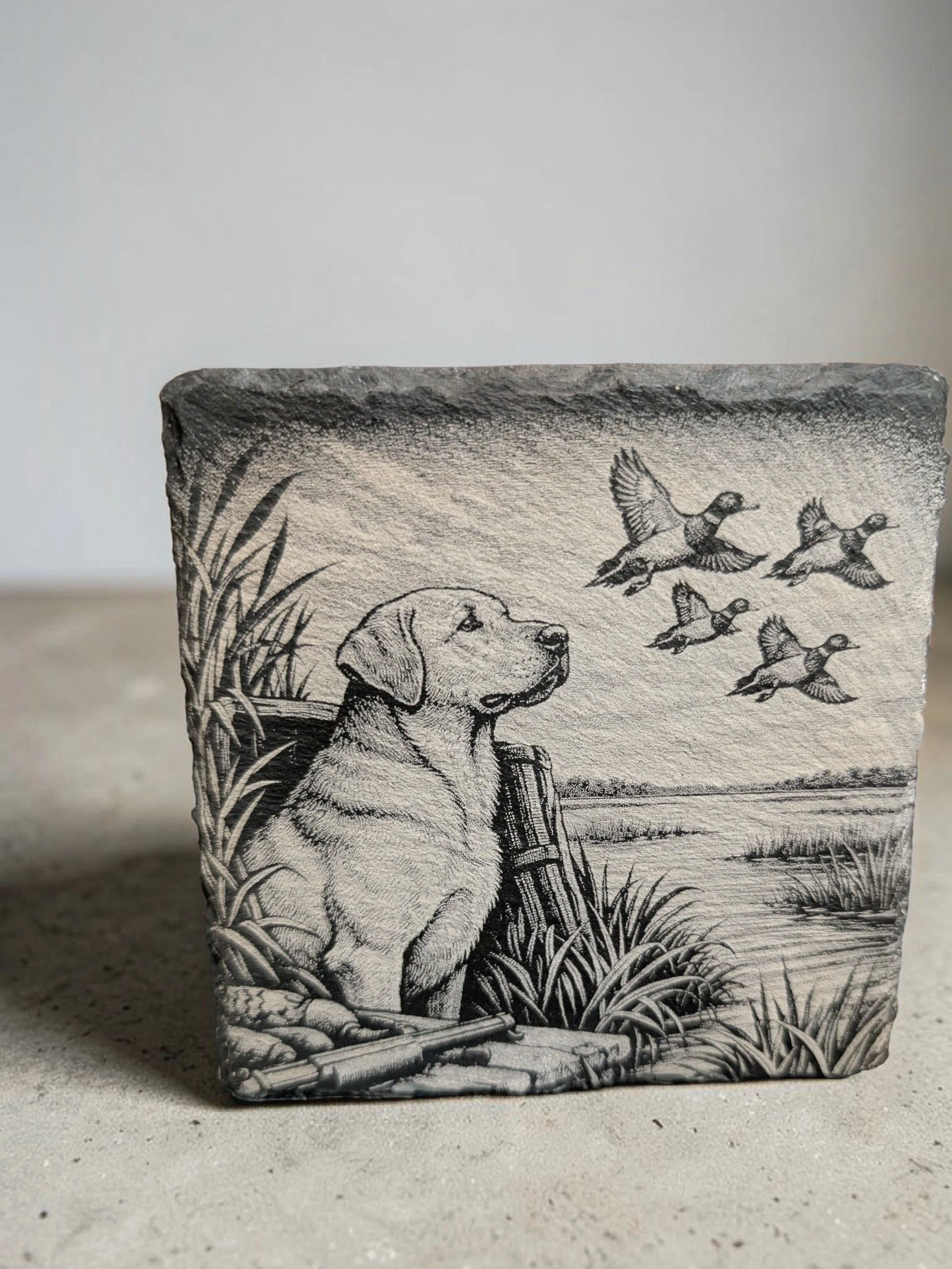 Labrador Marsh Scene