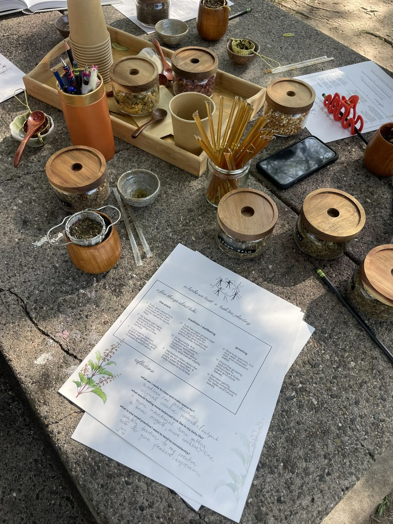 tulsi tea &amp; planting