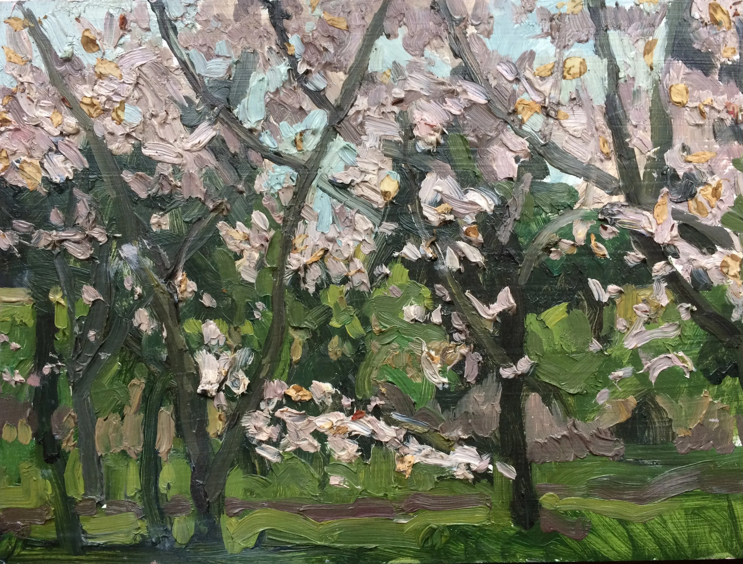 Someiyoshino, Oil on board, SOLD