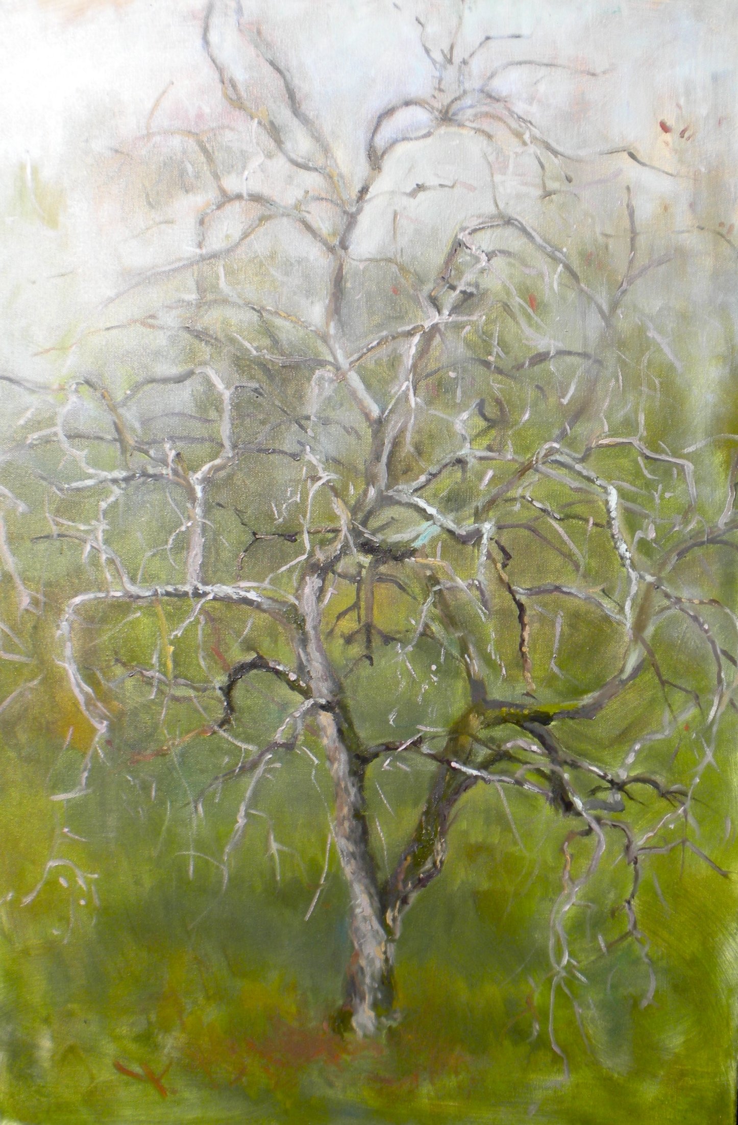 Lone Tree, Oil on canvas, SOLD