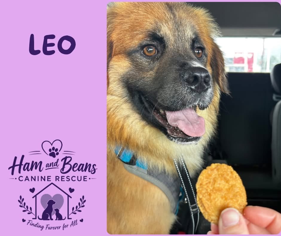 Leo