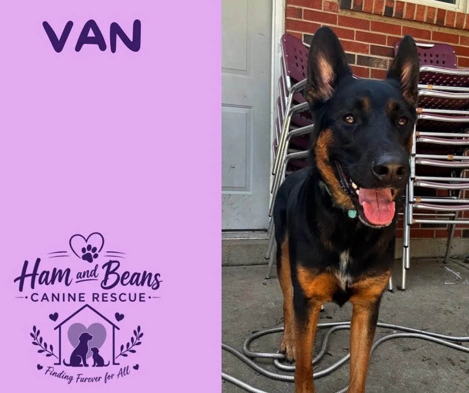 Van