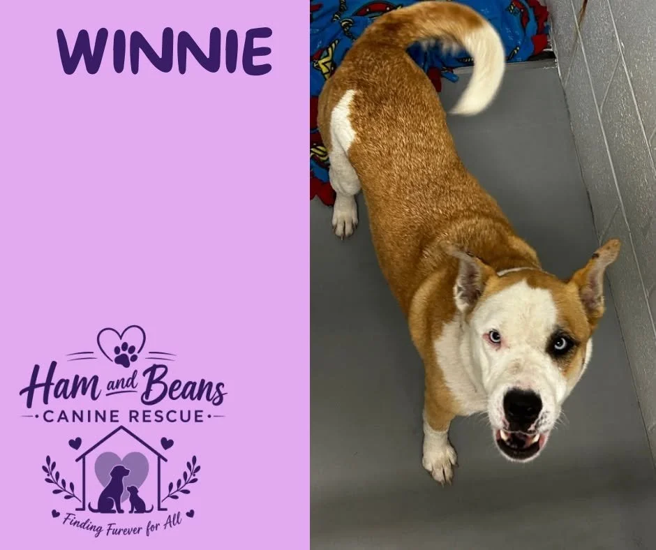 Winnie