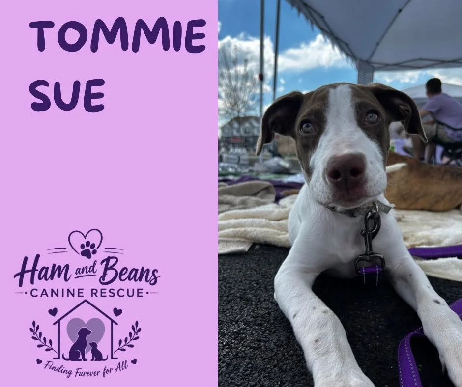 Tommie Sue