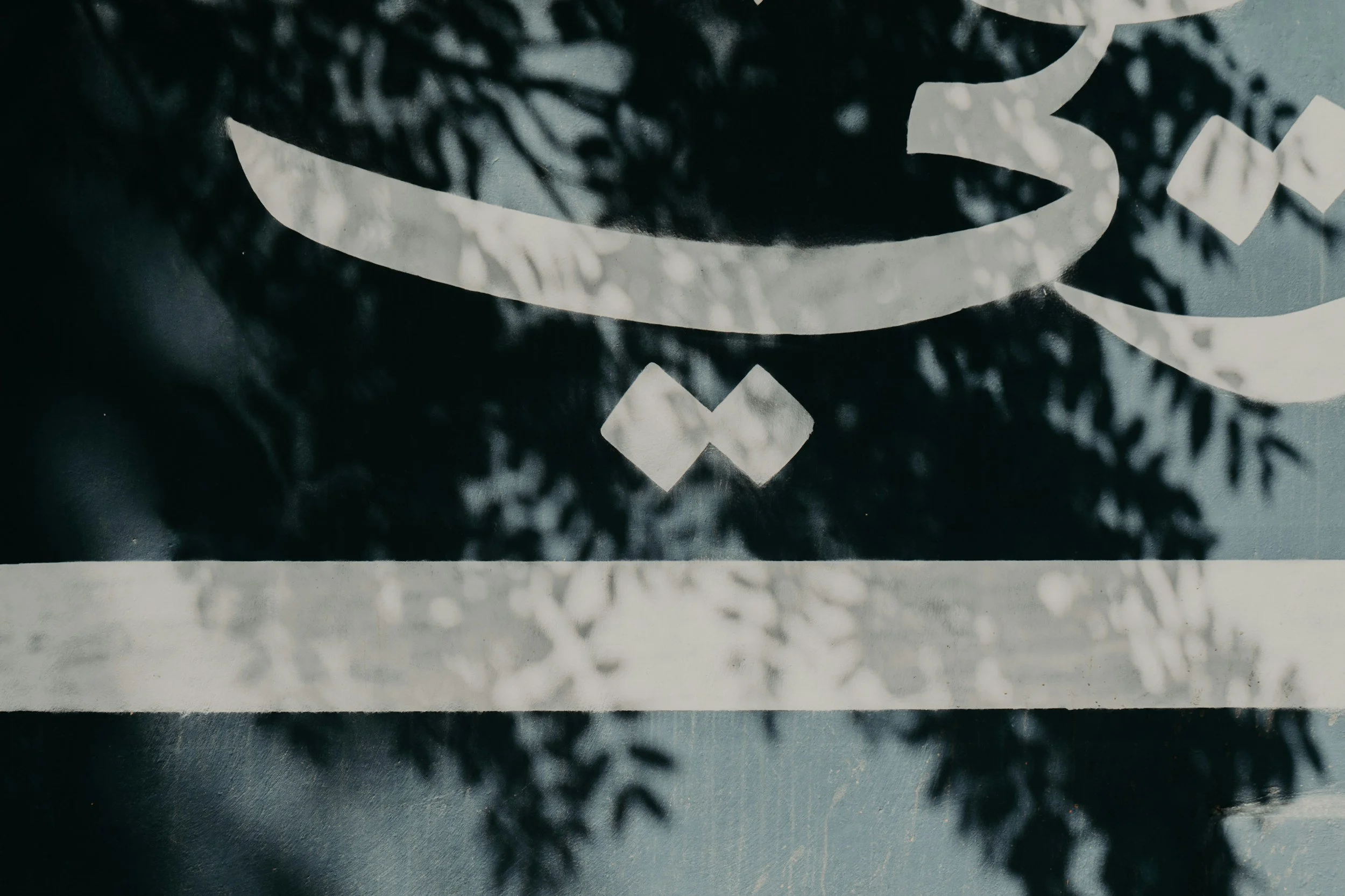 Close-up of the NASA logo with shadows of leaves cast on it.