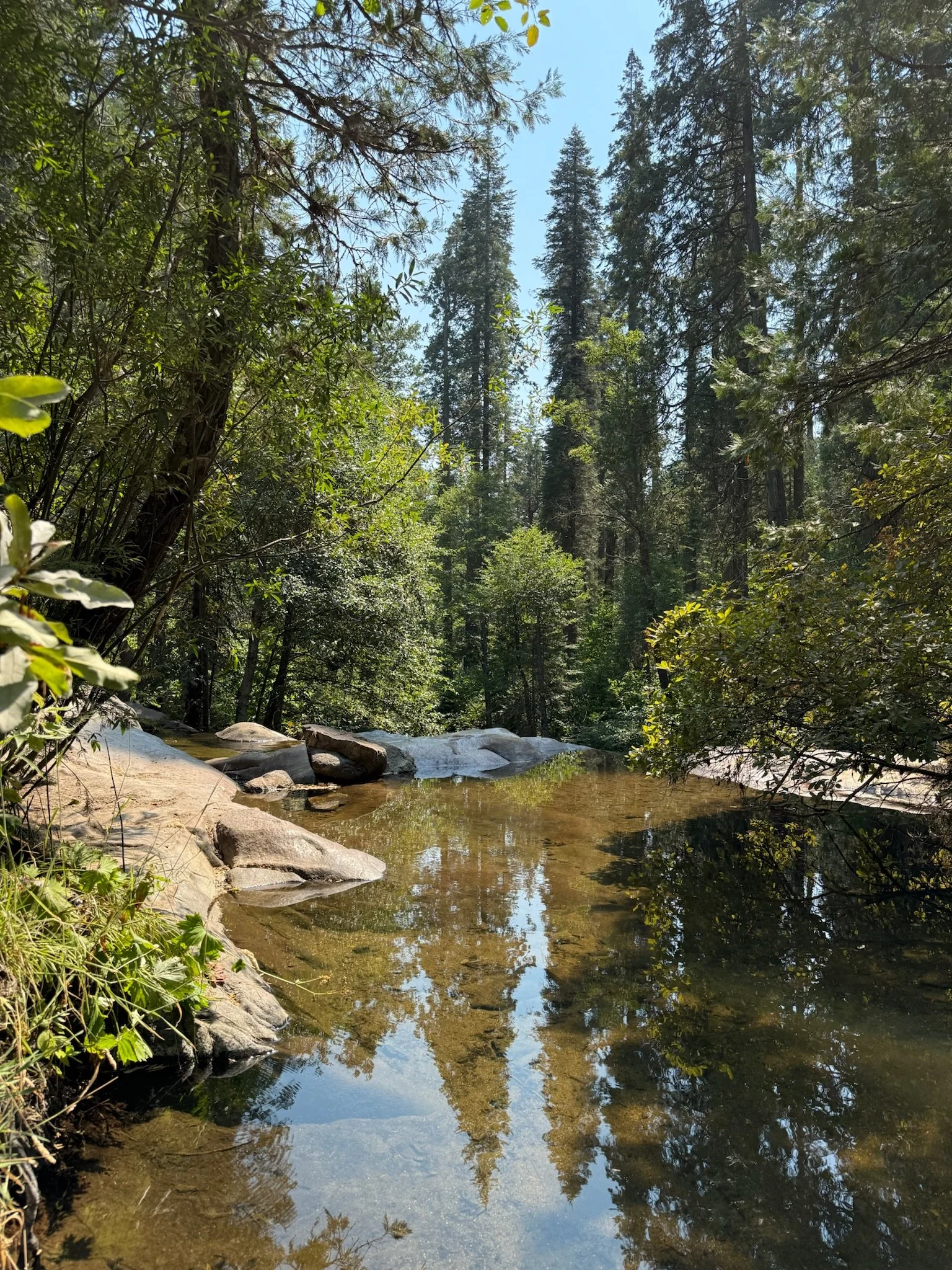 Our Relaxing AutoCamp Yosemite Experience &amp; the Activities Nearby