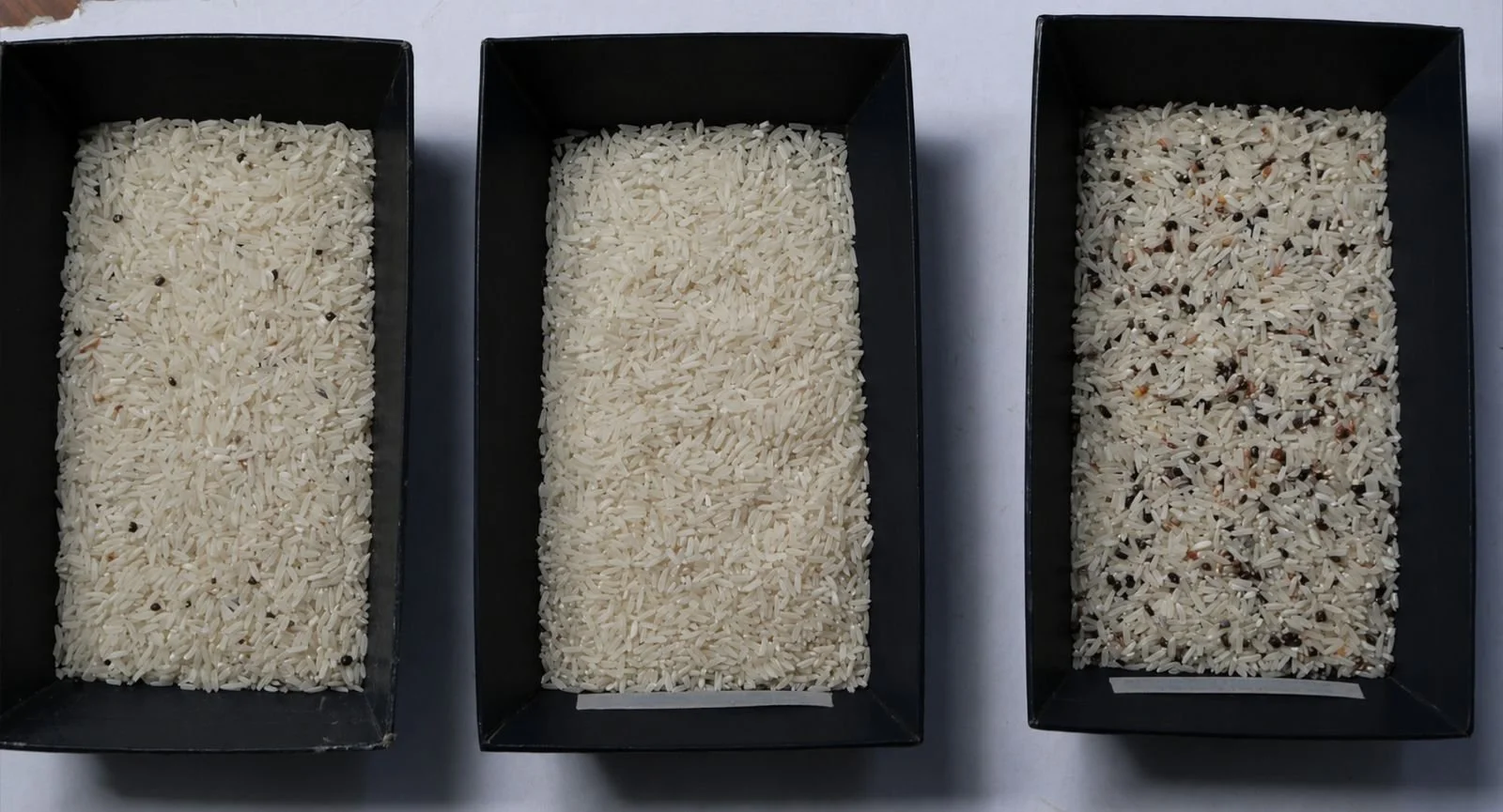 arroz.jpeg