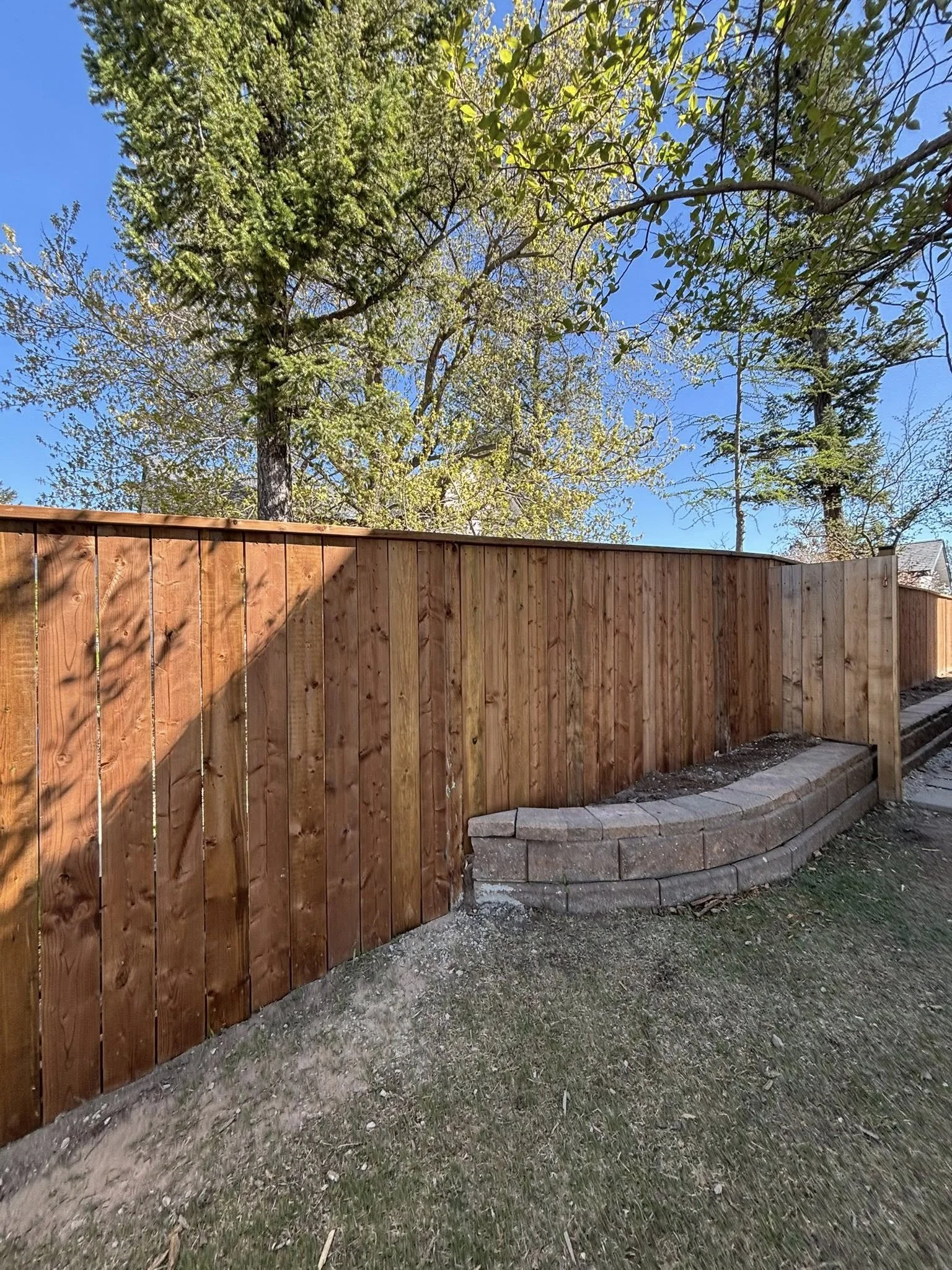 fence 2.jpg