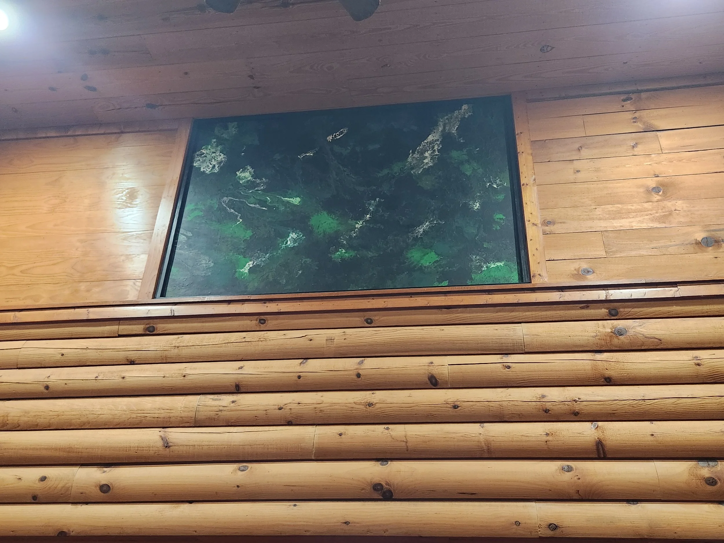 Green Living 1.jpg