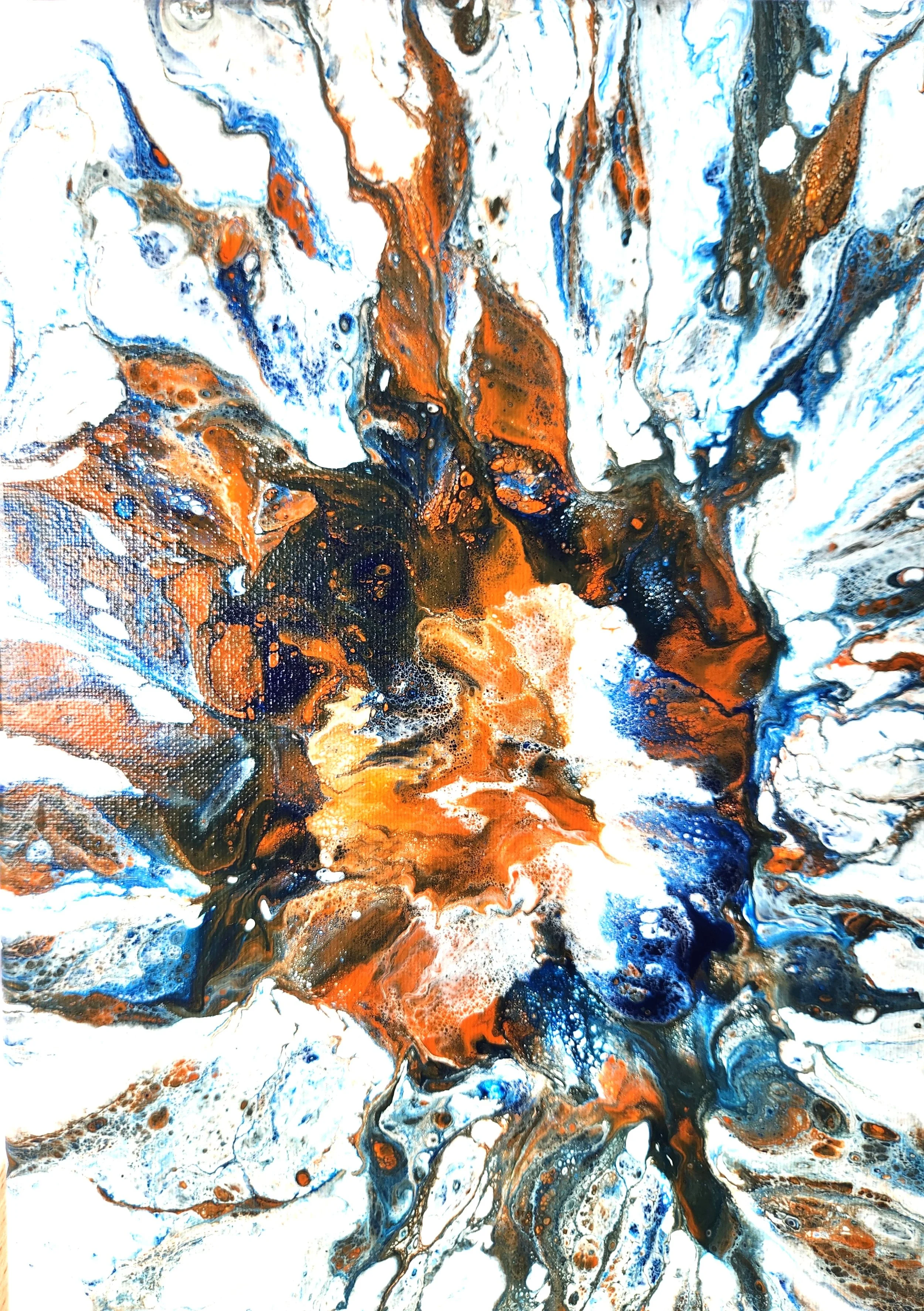 Five Orange (22).jpg