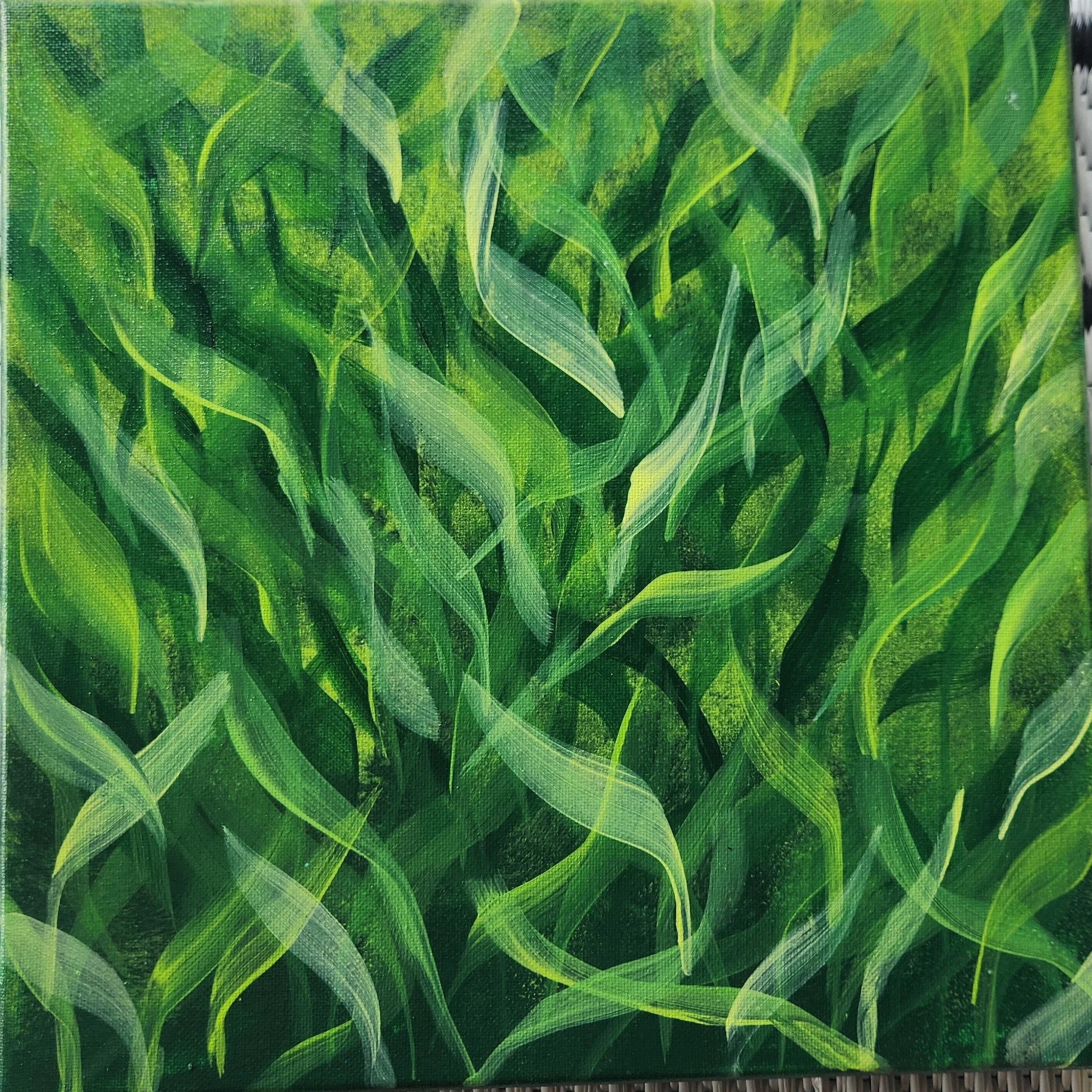 grass 1.jpg