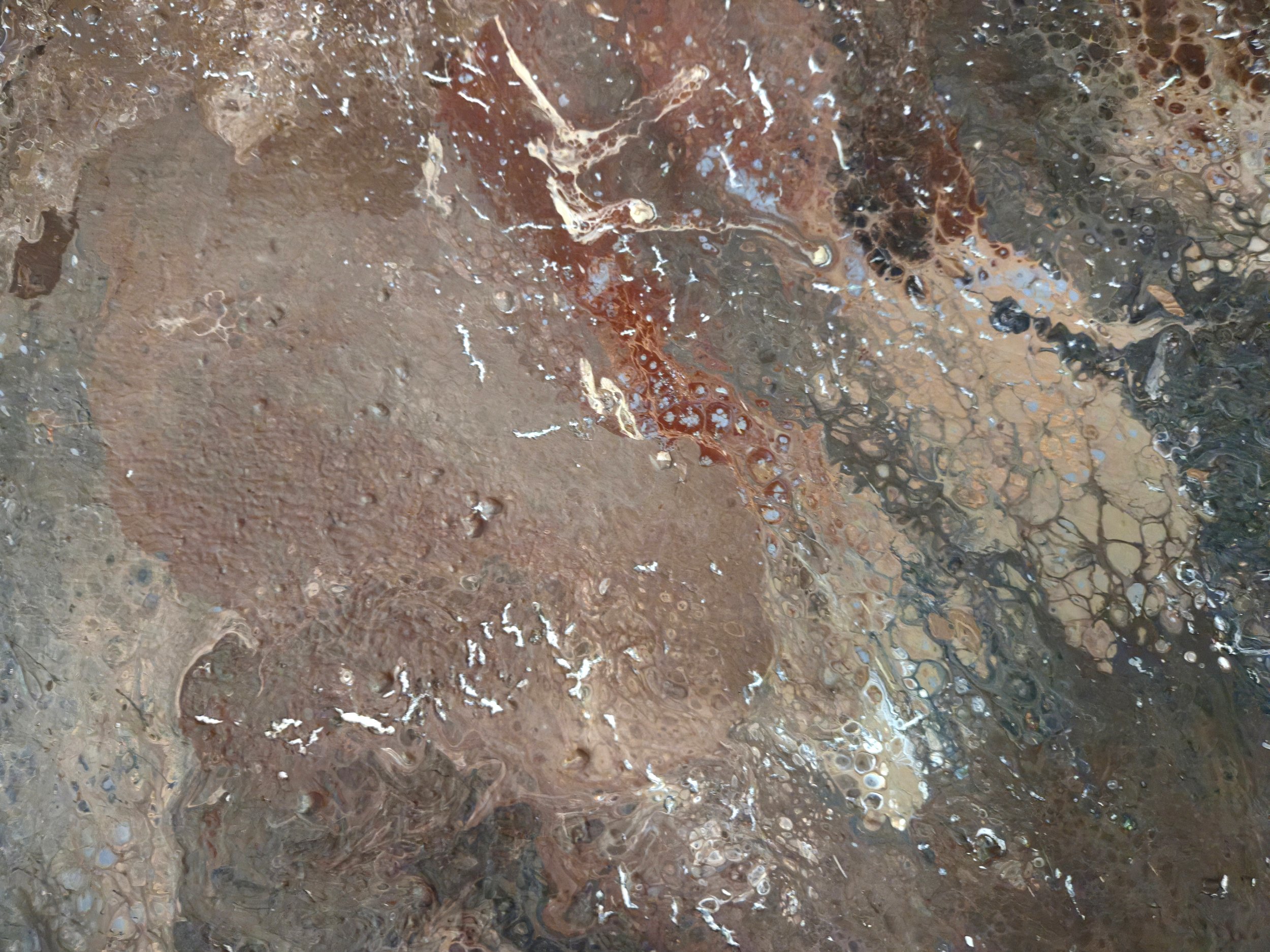20260518_191101.jpg