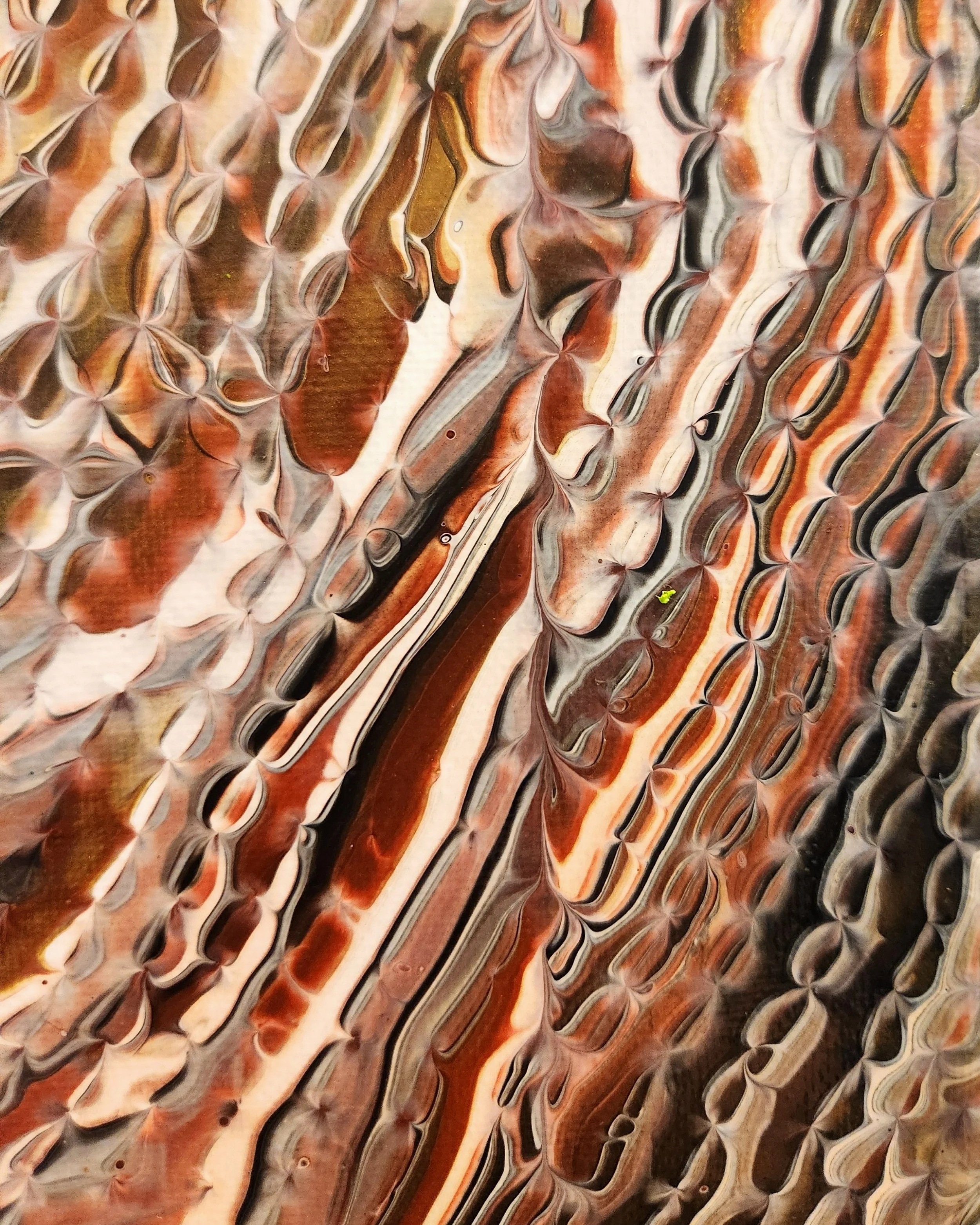 20260613_164229a.jpg