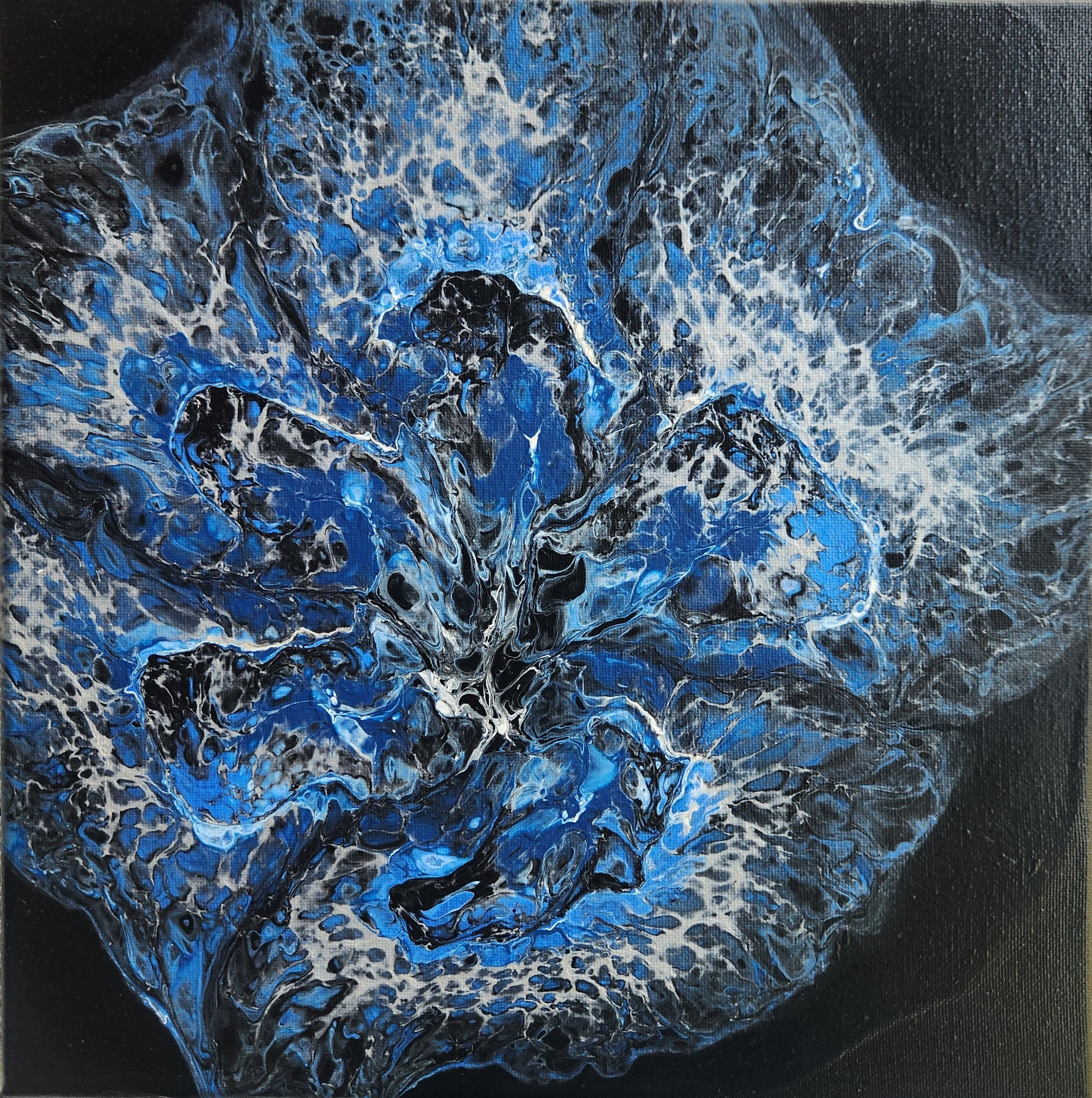 Blue 1.jpg