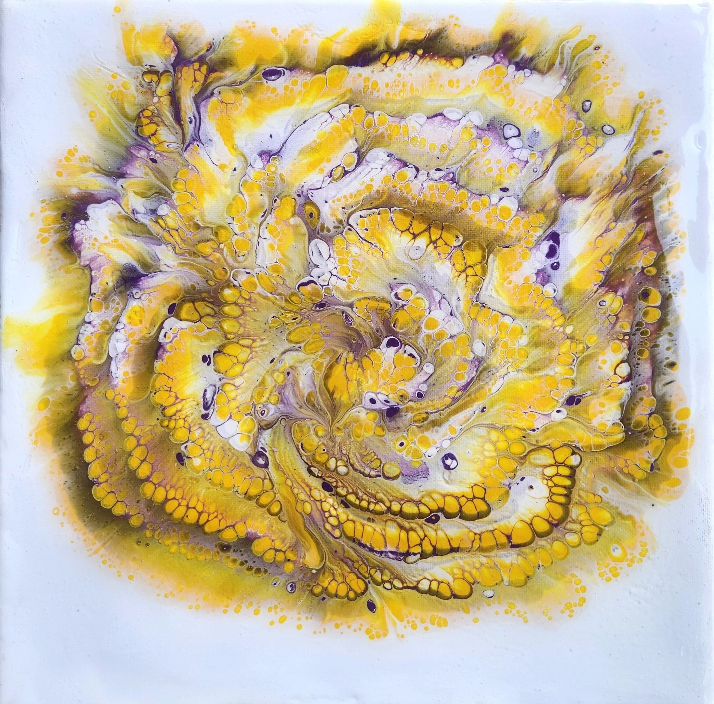Purple Gold 7.jpg