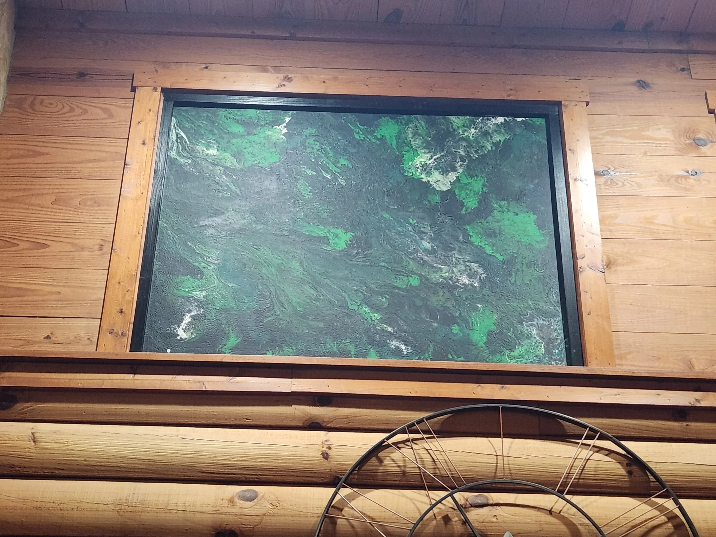 20260312_210611.jpg