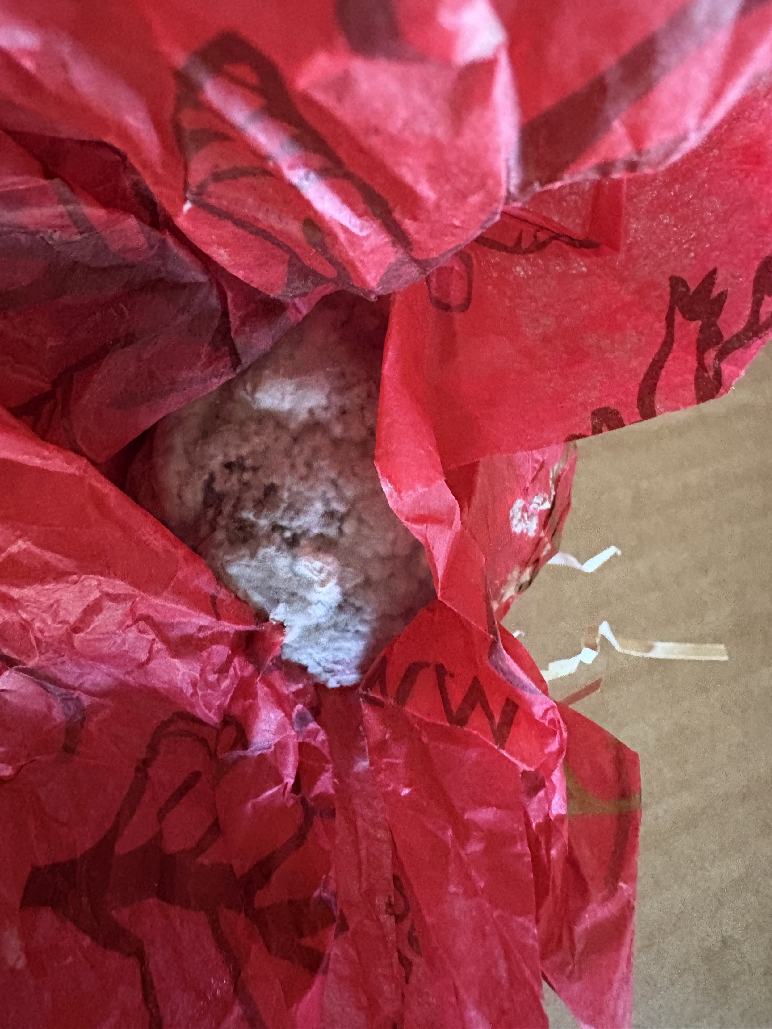 Moldy Food